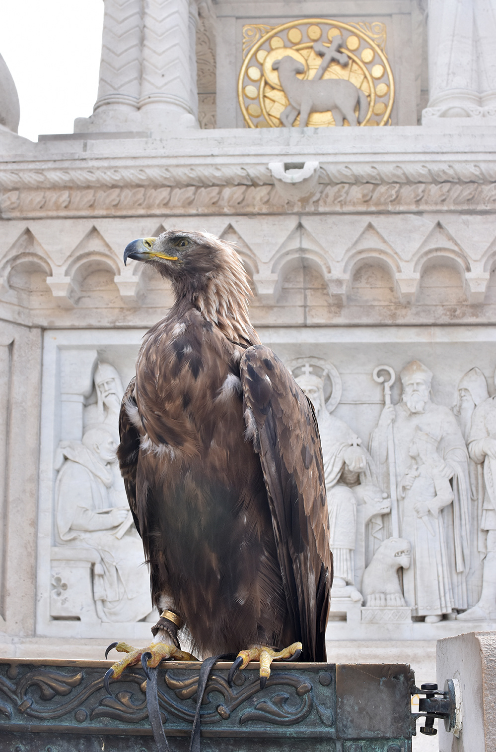 Buda Castle / Budavári Palota / Kalaja Buda