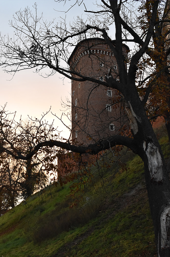 Wawel Royal Castle / Kalaja Mbretërore Wawel