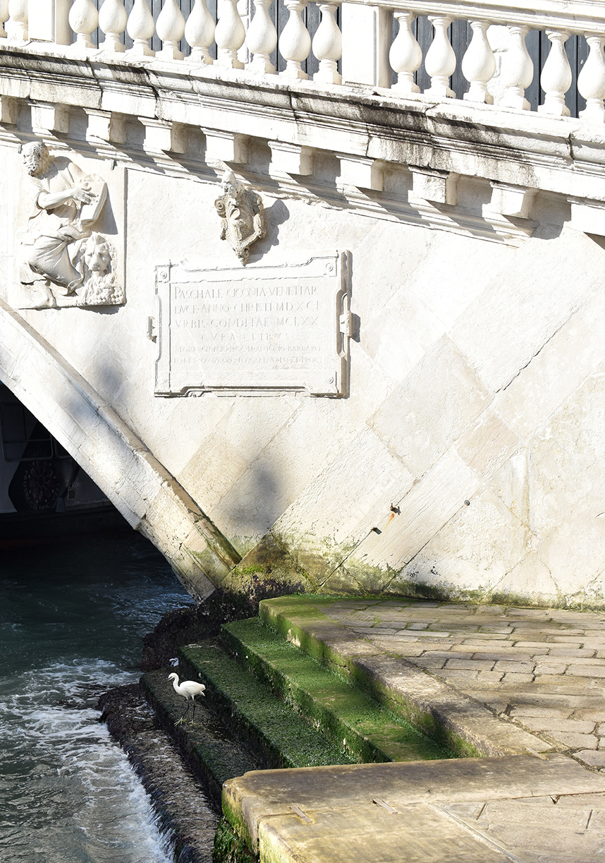 Ponte di Rialto / Ura Rialto