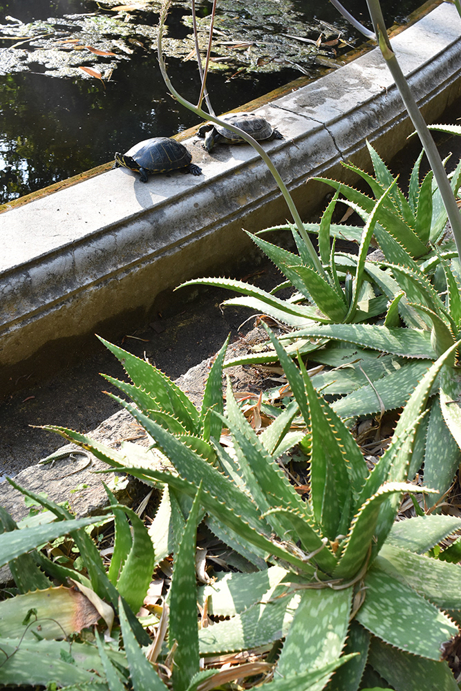 Botanical Gardens