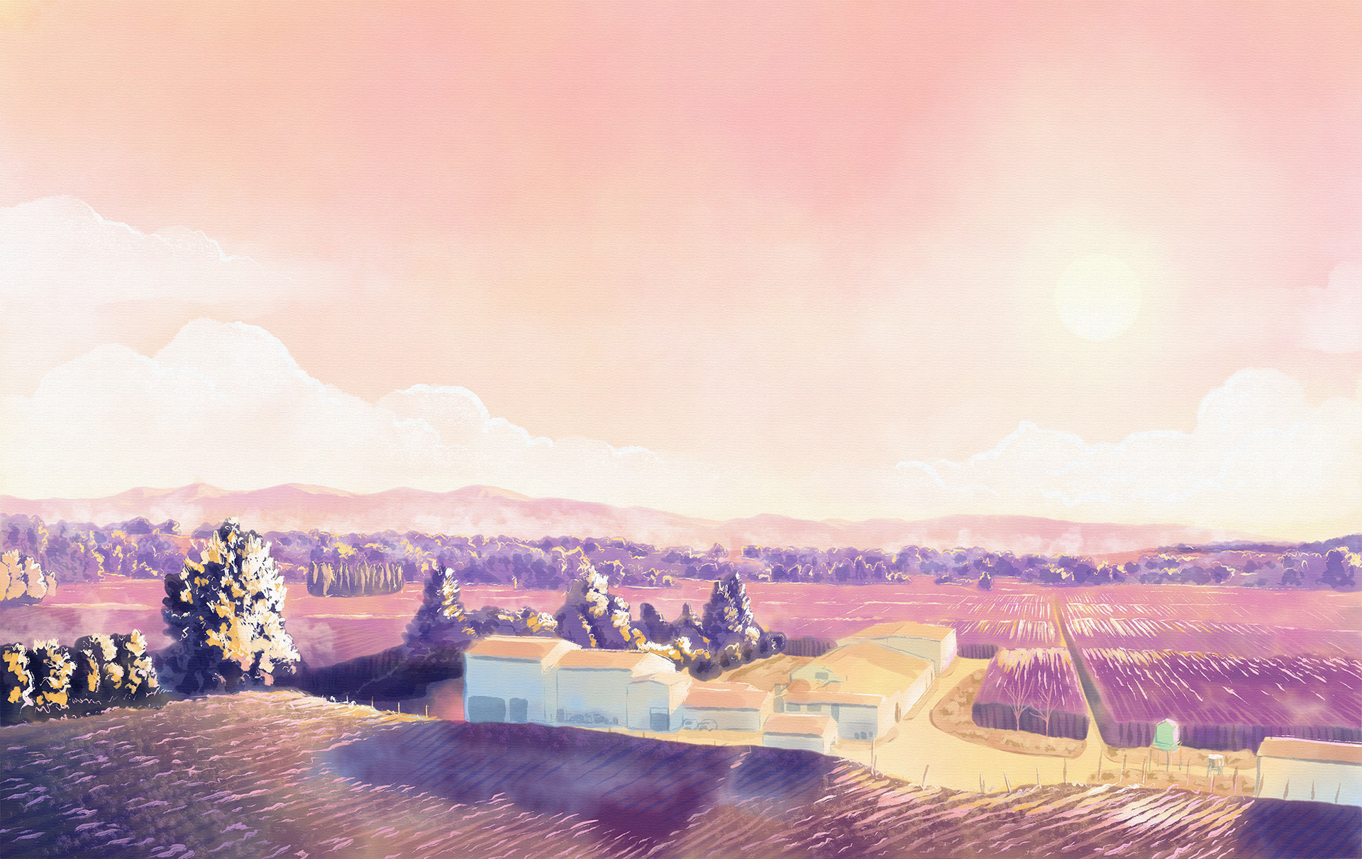 Wild Gooseberry Chase, Cellarmaker