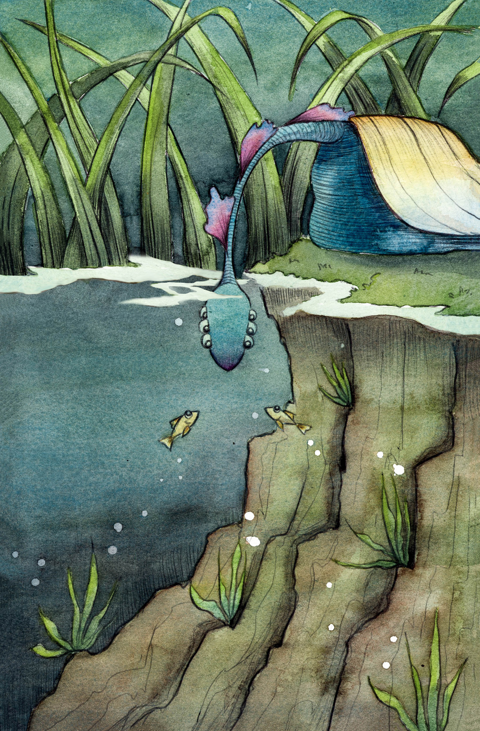 Mobey takes a look at the fishies.