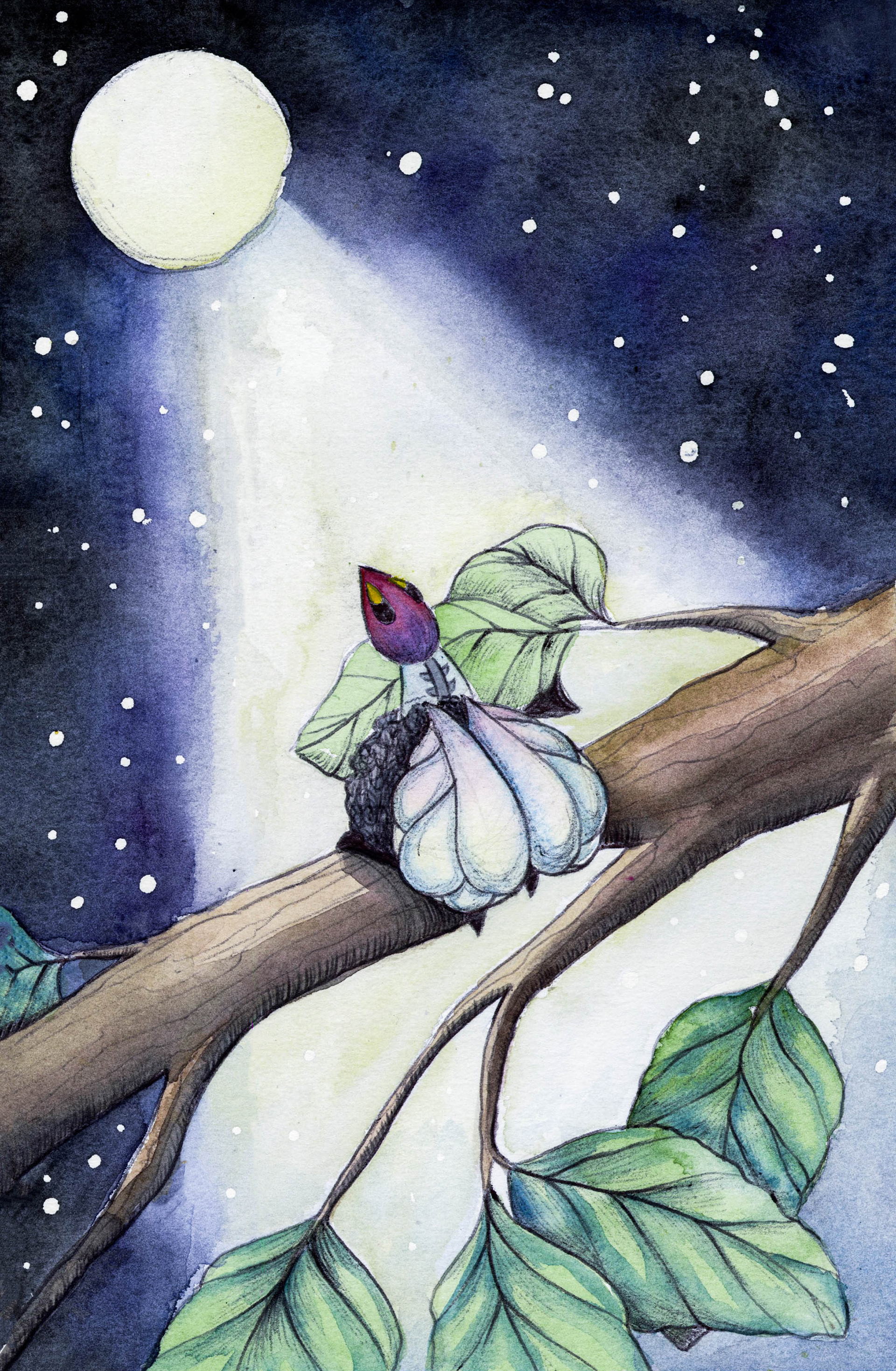 Hubert ends his day by staring up at the moon.