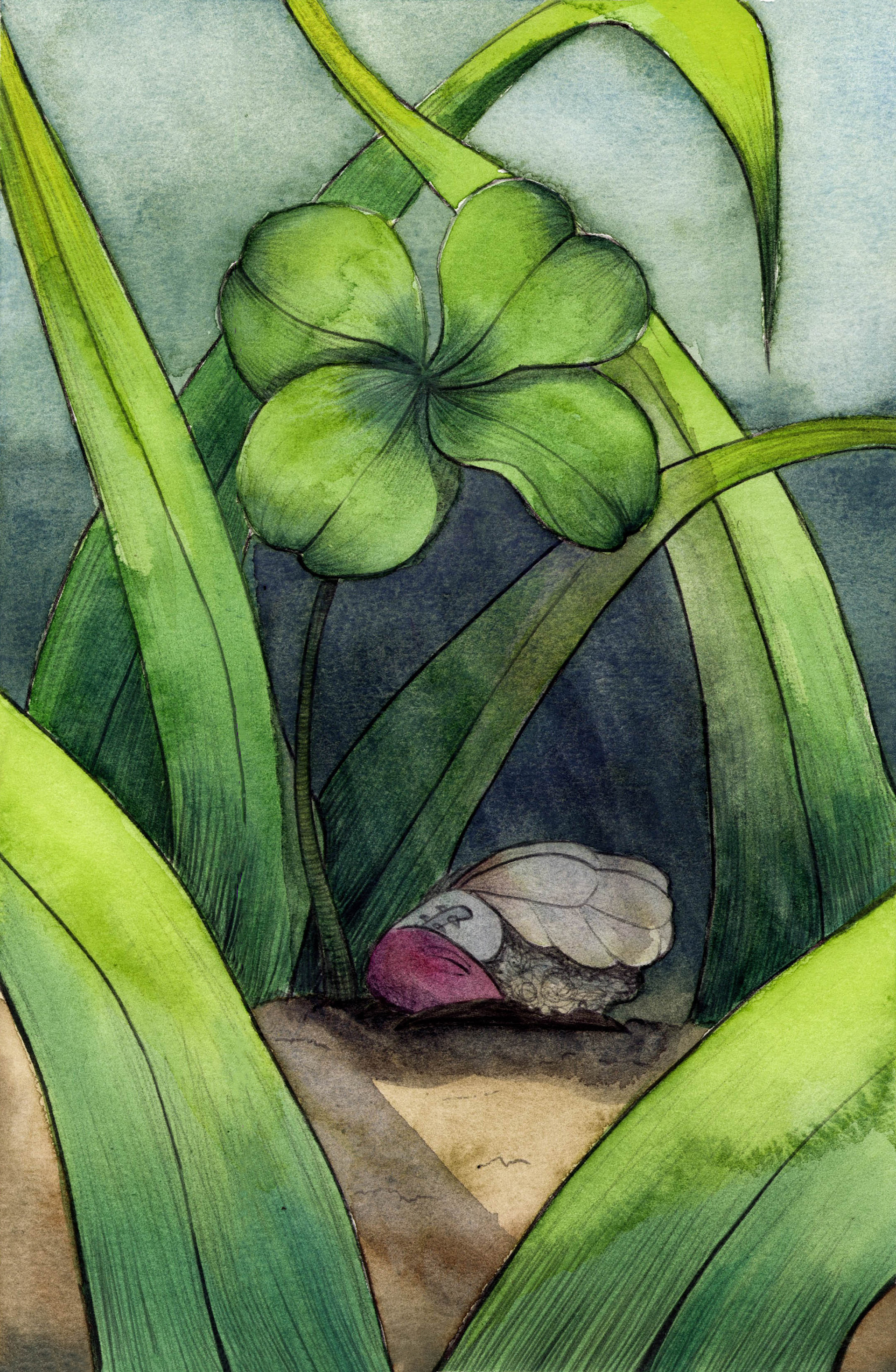 Hubert takes a nap in the shade.