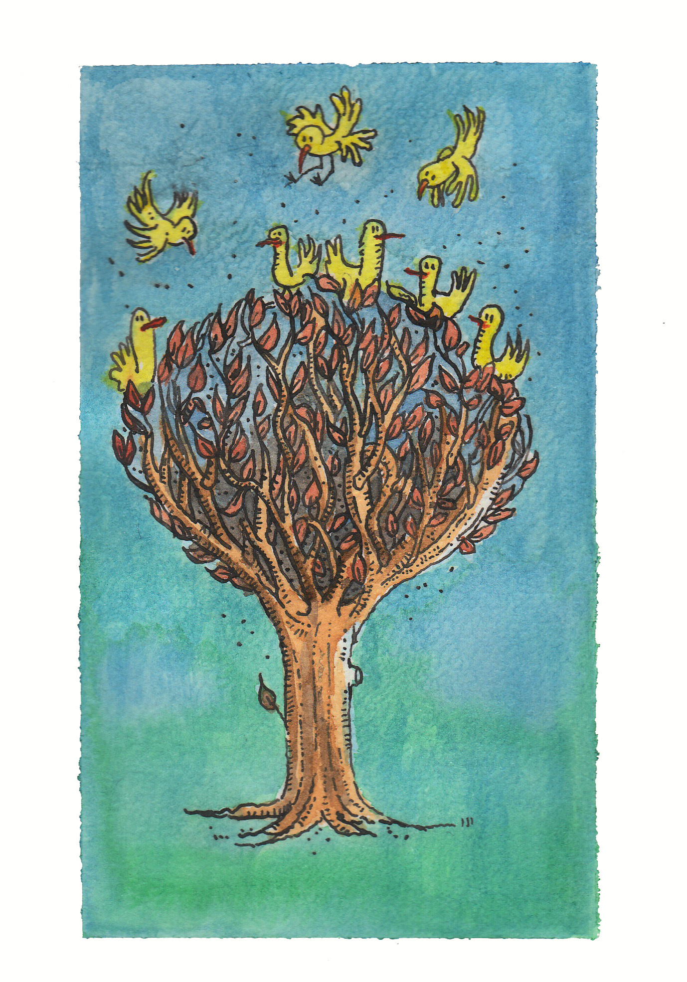 Birdies