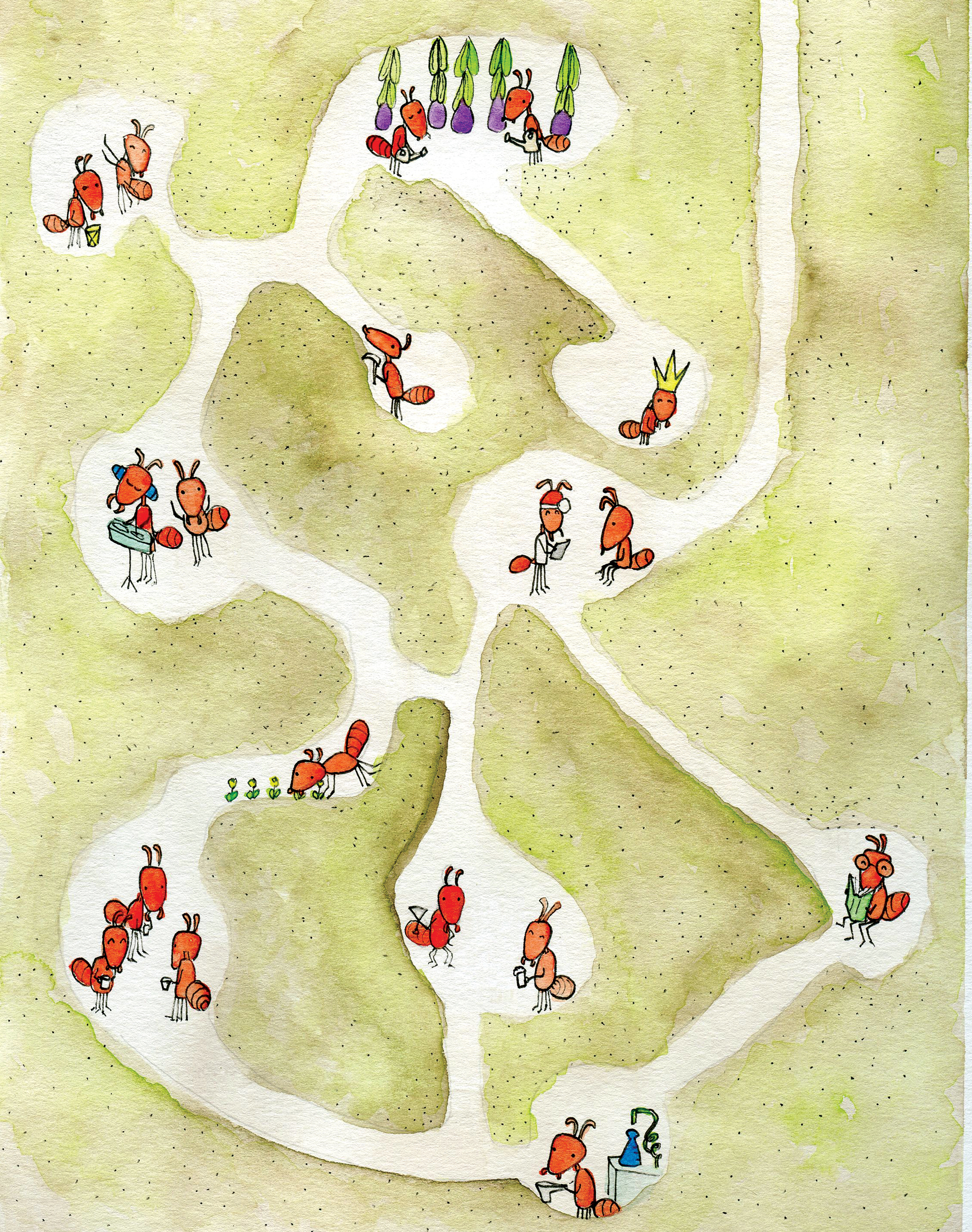 Ants