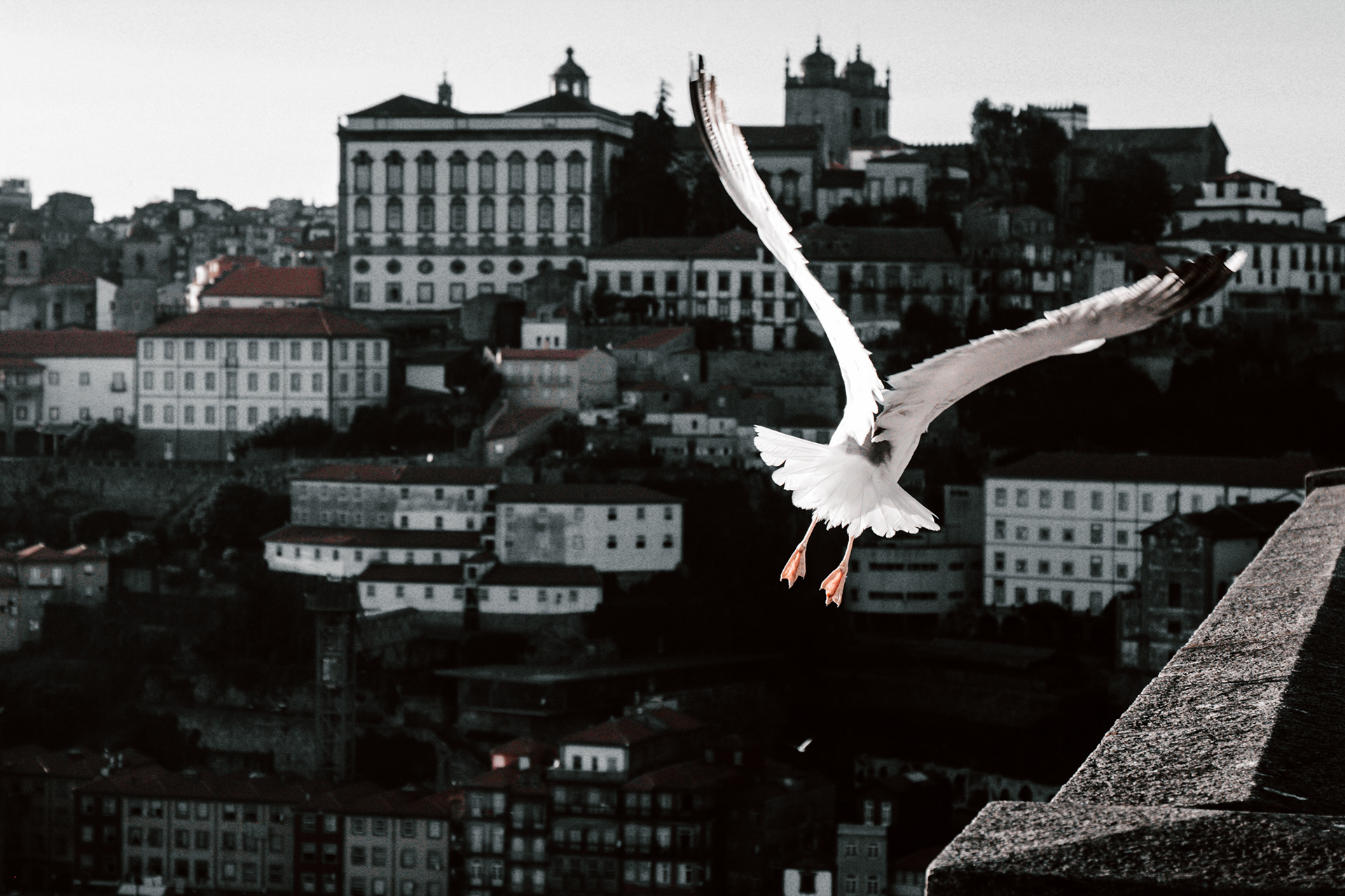 Porto