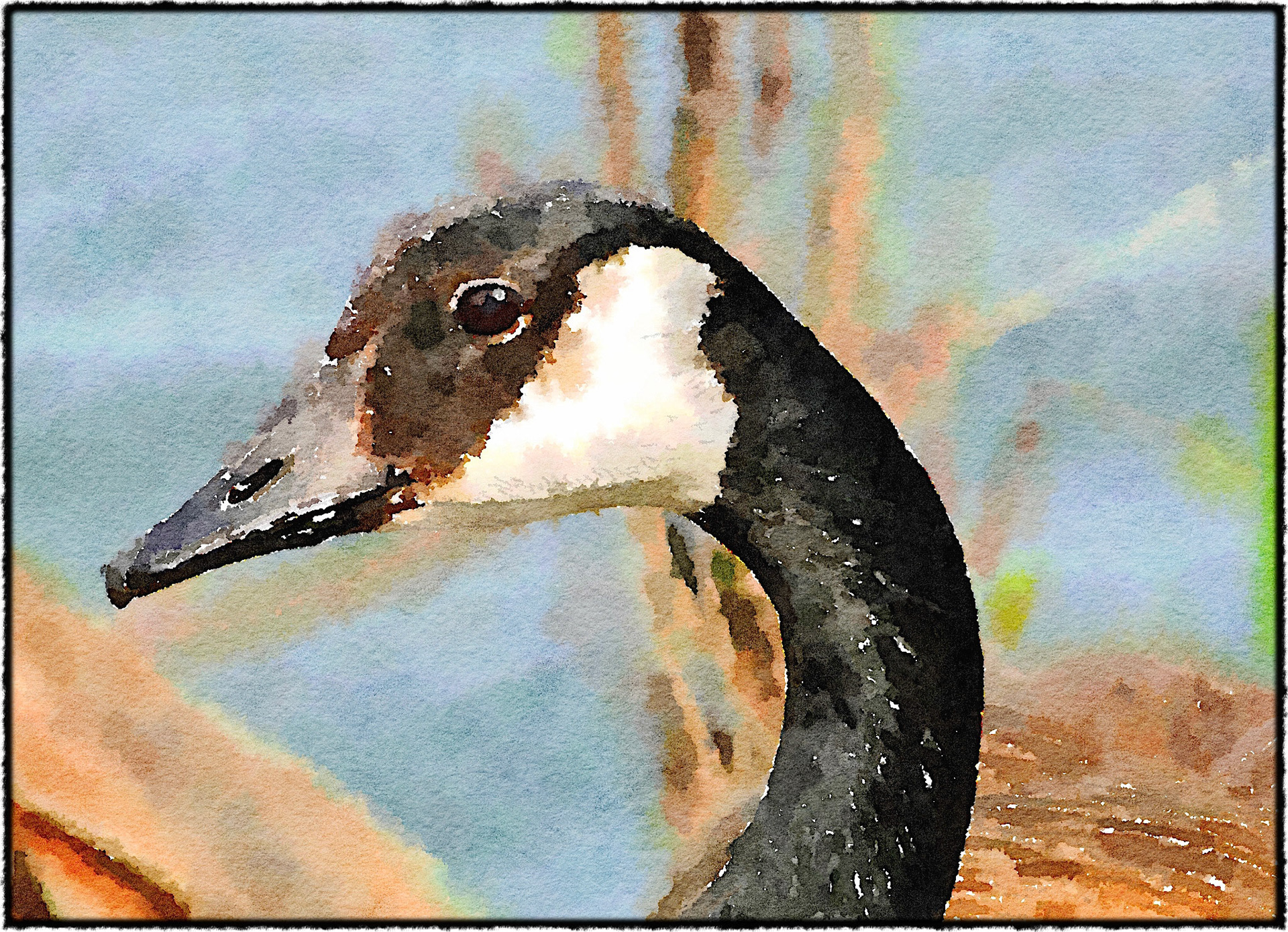 Preset Style = VibrantFormat = GiantFormat Margin = NoneFormat Border = StraightDrawing = #2 PencilDrawing Weight = MediumDrawing Detail = MediumPaint = NaturalPaint Lightness = DarkerPaint Intensity = MoreWater = Tap WaterWater Edges = MediumWater Bleed = AverageBrush = Natural DetailBrush Focus = EverythingBrush Spacing = NarrowPaper = WatercolorPaper Texture = MediumPaper Shading = Light