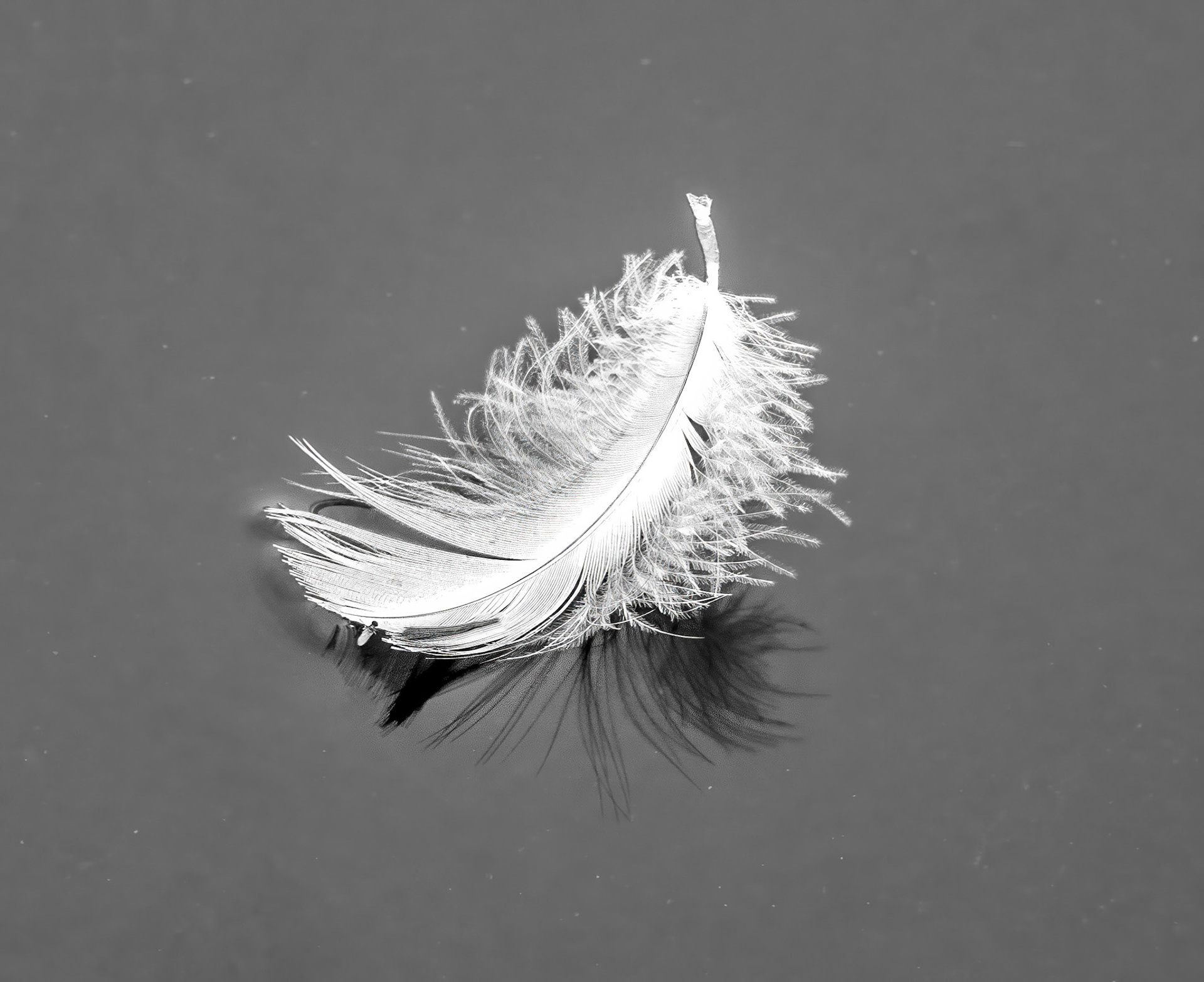 Feather Floating