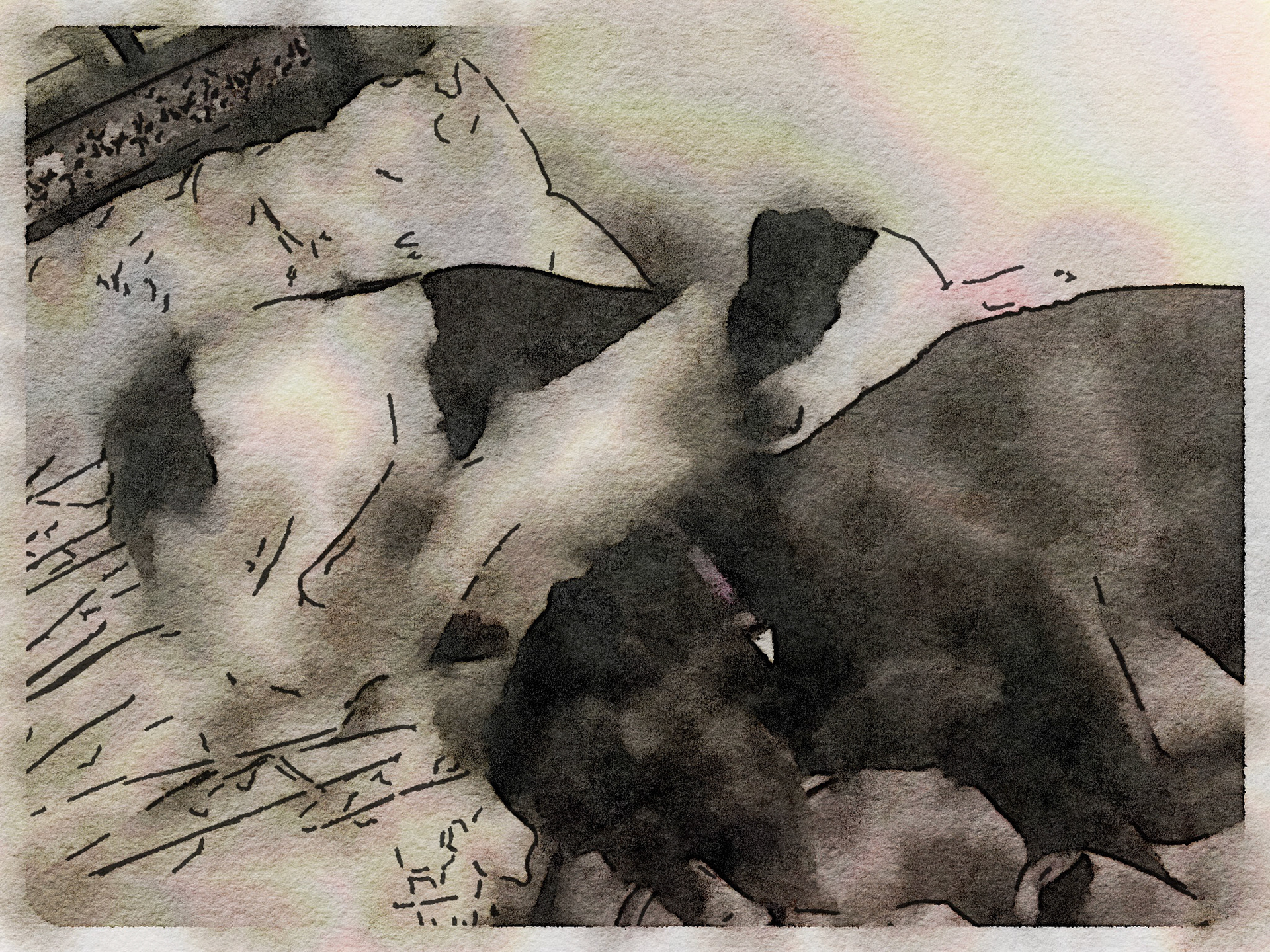 Preset Style = RainyFormat = 10" (Giant)Format Margin = SmallFormat Border = Sm. RoundedDrawing = Technical PenDrawing Weight = HeavyDrawing Detail = MediumPaint = NaturalPaint Lightness = AutoPaint Intensity = LessWater = Tap WaterWater Edges = BlurryWater Bleed = IntenseBrush = Fine DetailBrush Focus = EverythingBrush Spacing = NonePaper = WatercolorPaper Texture = MediumPaper Shading = MediumOptions Faces = Enhance Faces