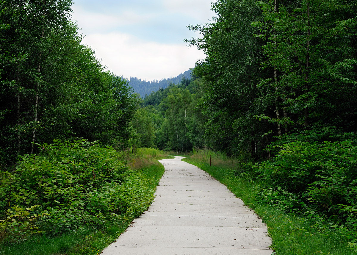 Piste multi-activités de la vallée de la Plaine, AP5