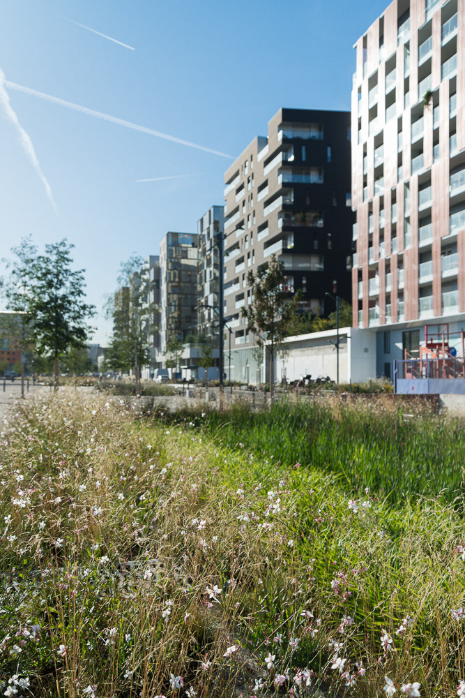 ZAC des Docks, Saint-Ouen