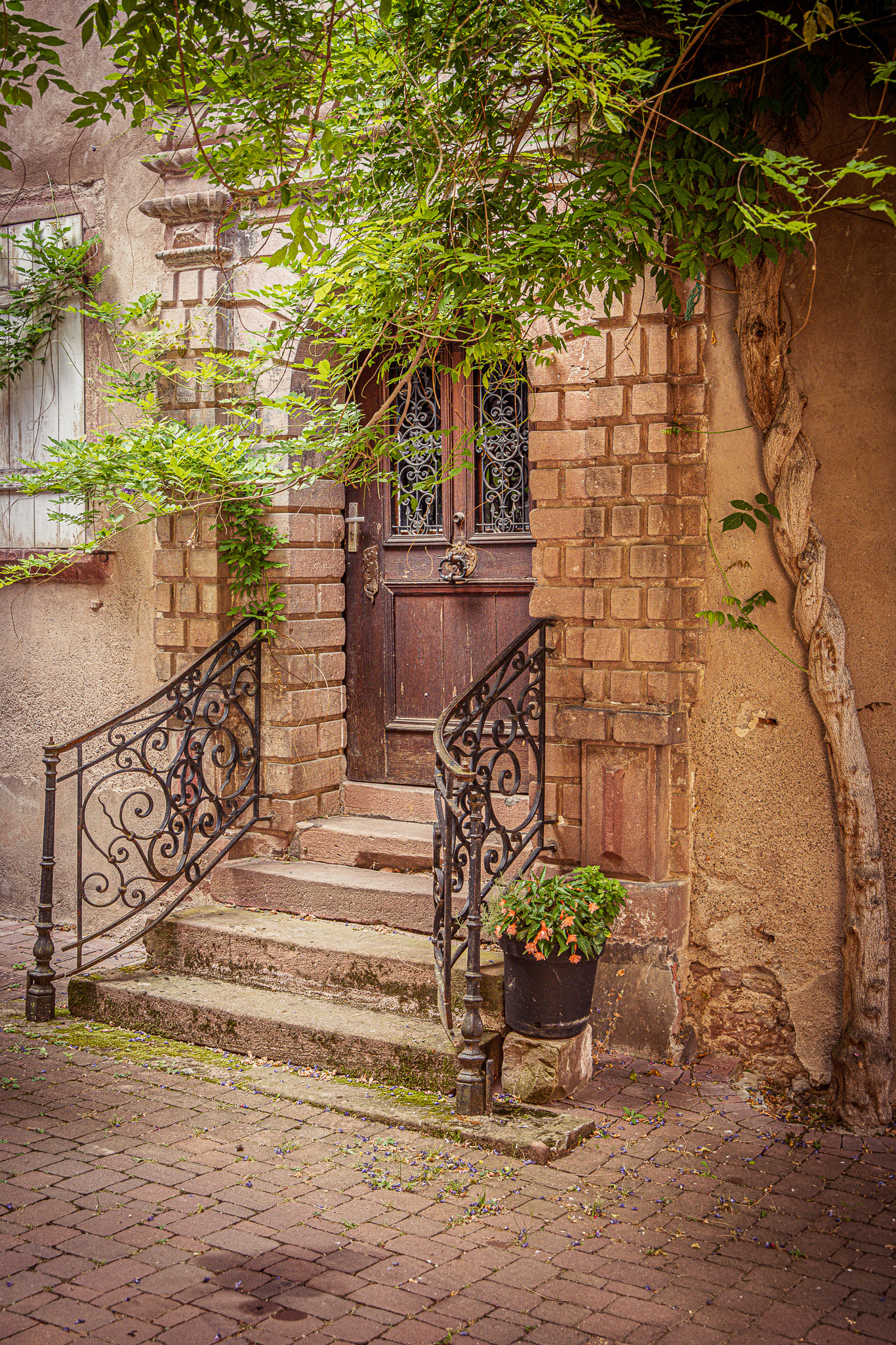 Le village de Riquewihr, en Alsace.