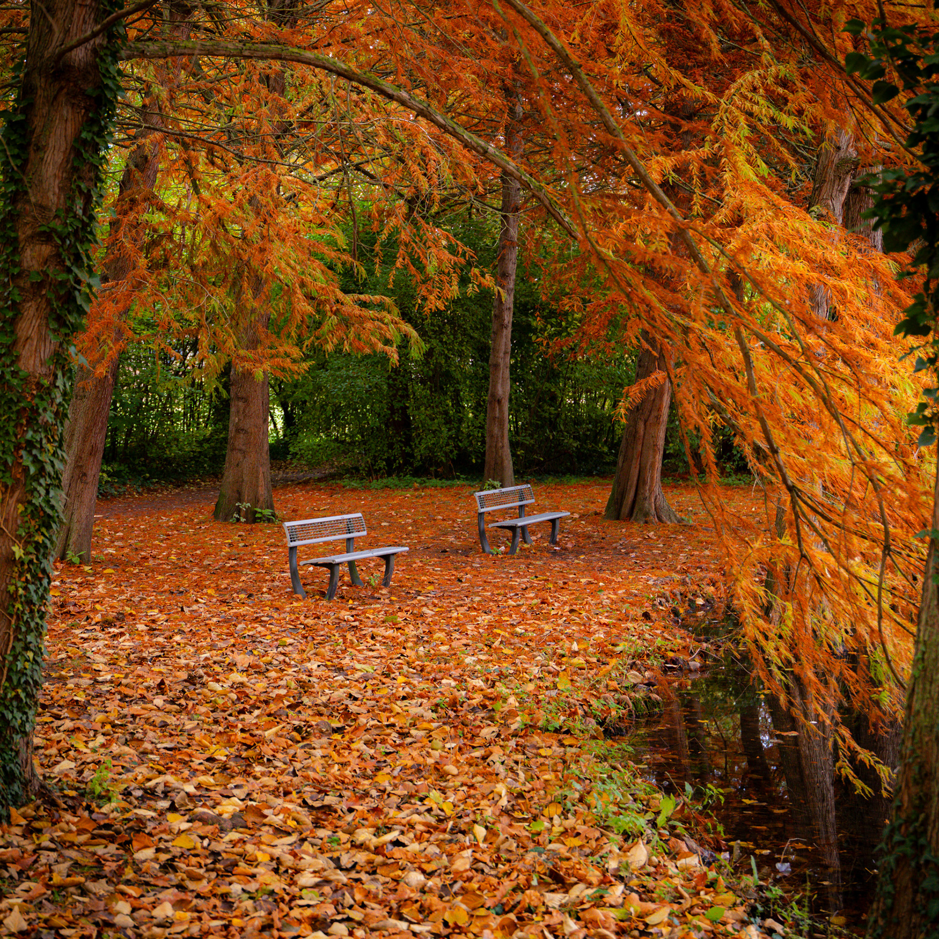 Amiens Parc St Pierre