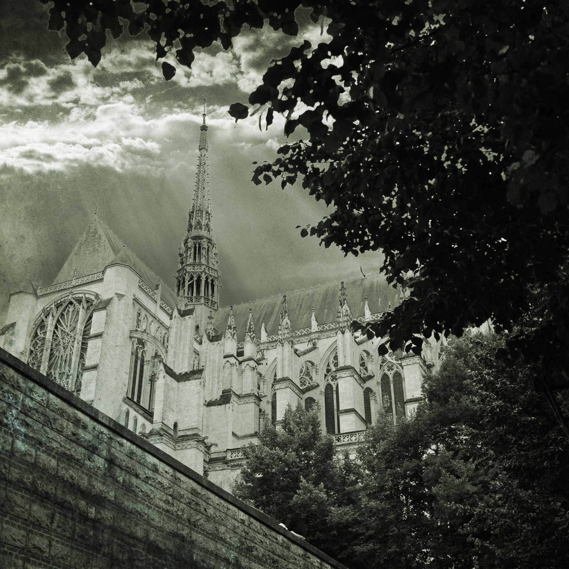 Cathédrale d'Amiens 