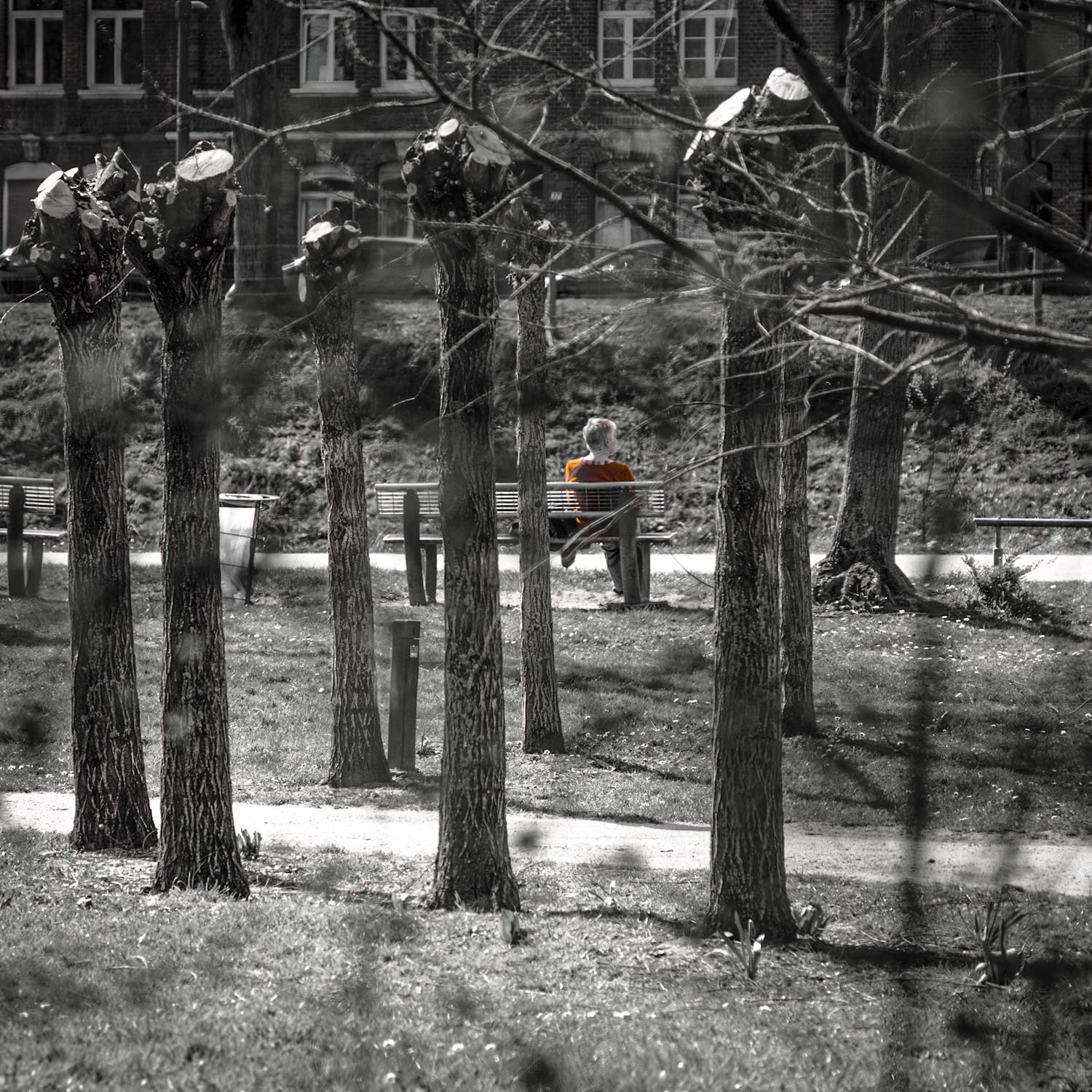 Jamais vraiment seul(es)