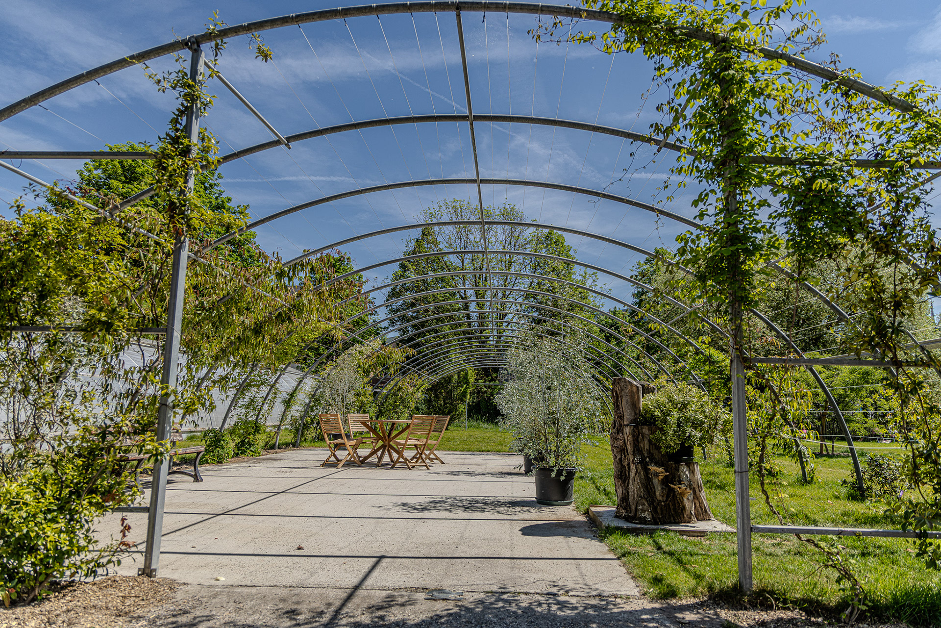 Jardin des plantes - Amiens 
