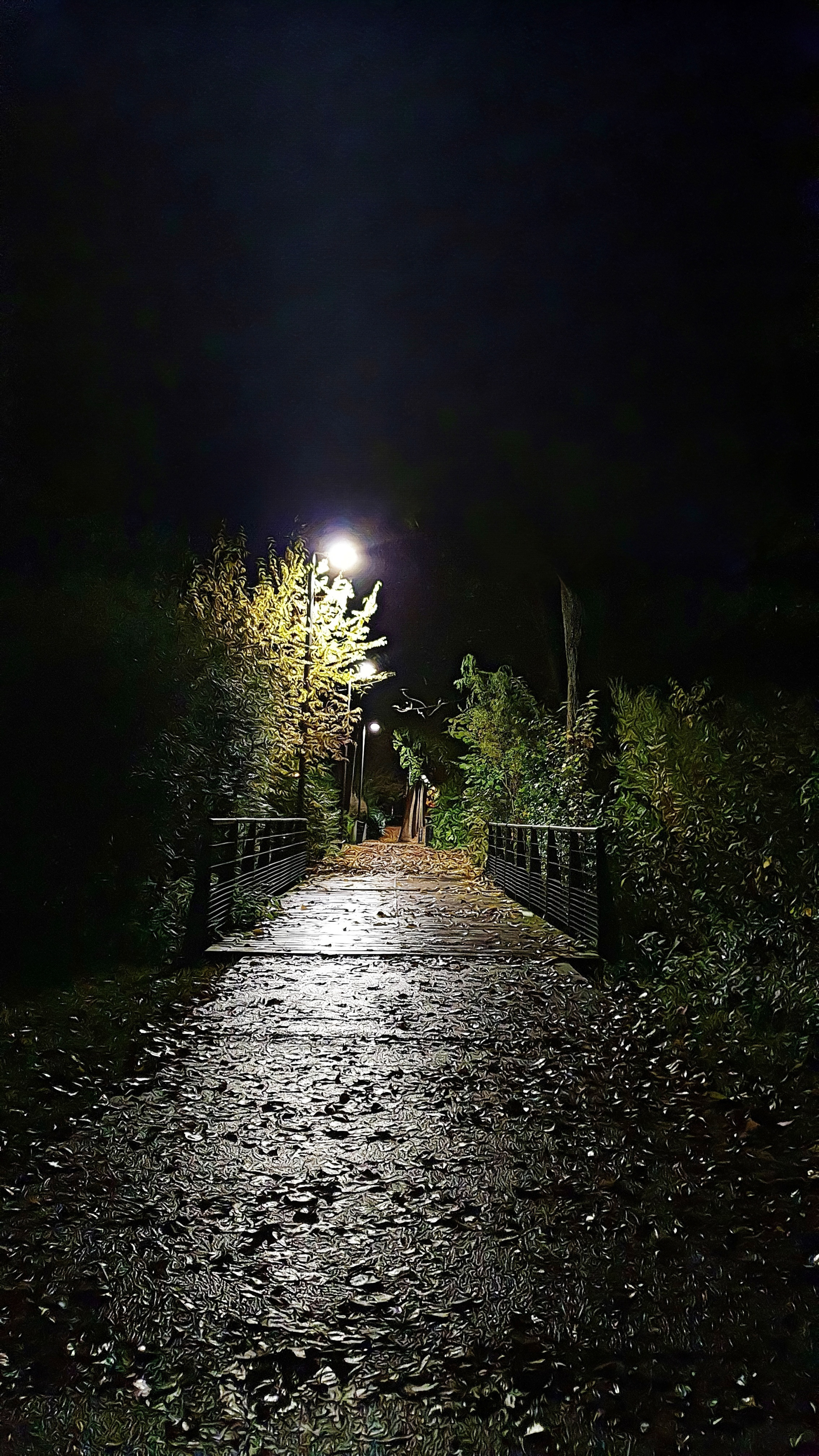 Parc St Pierre - Amiens