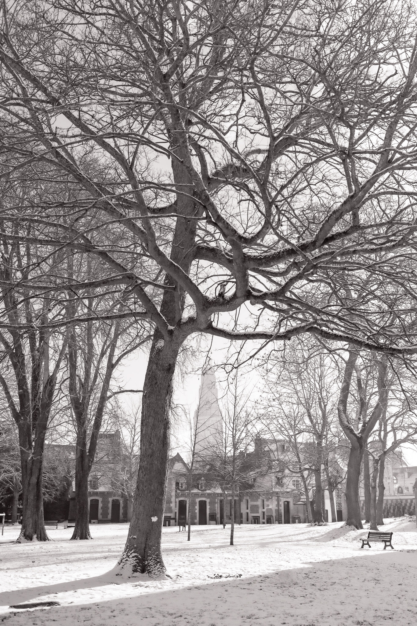 Amiens parc de l'évêché