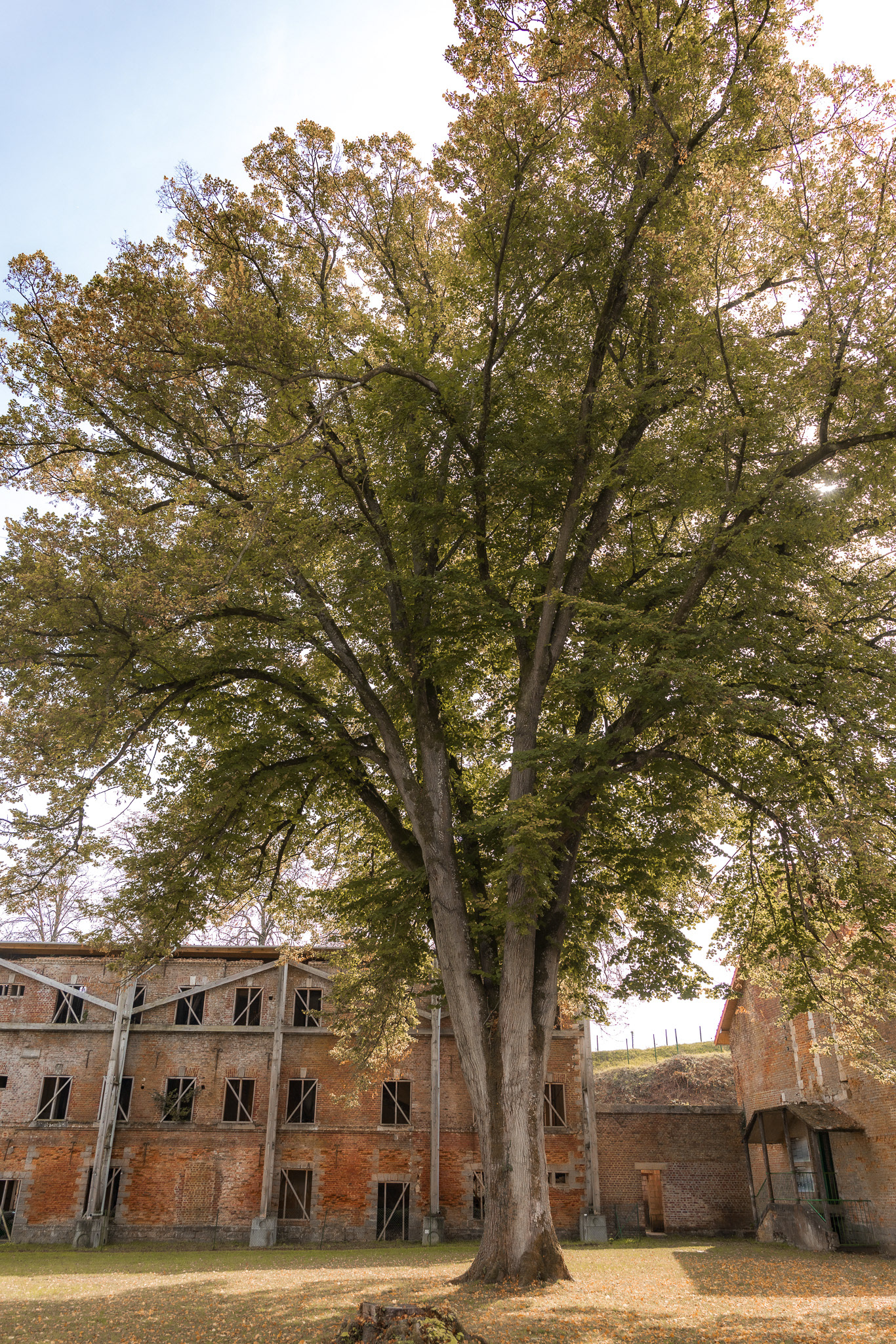 La citadelle de Doullens (80)