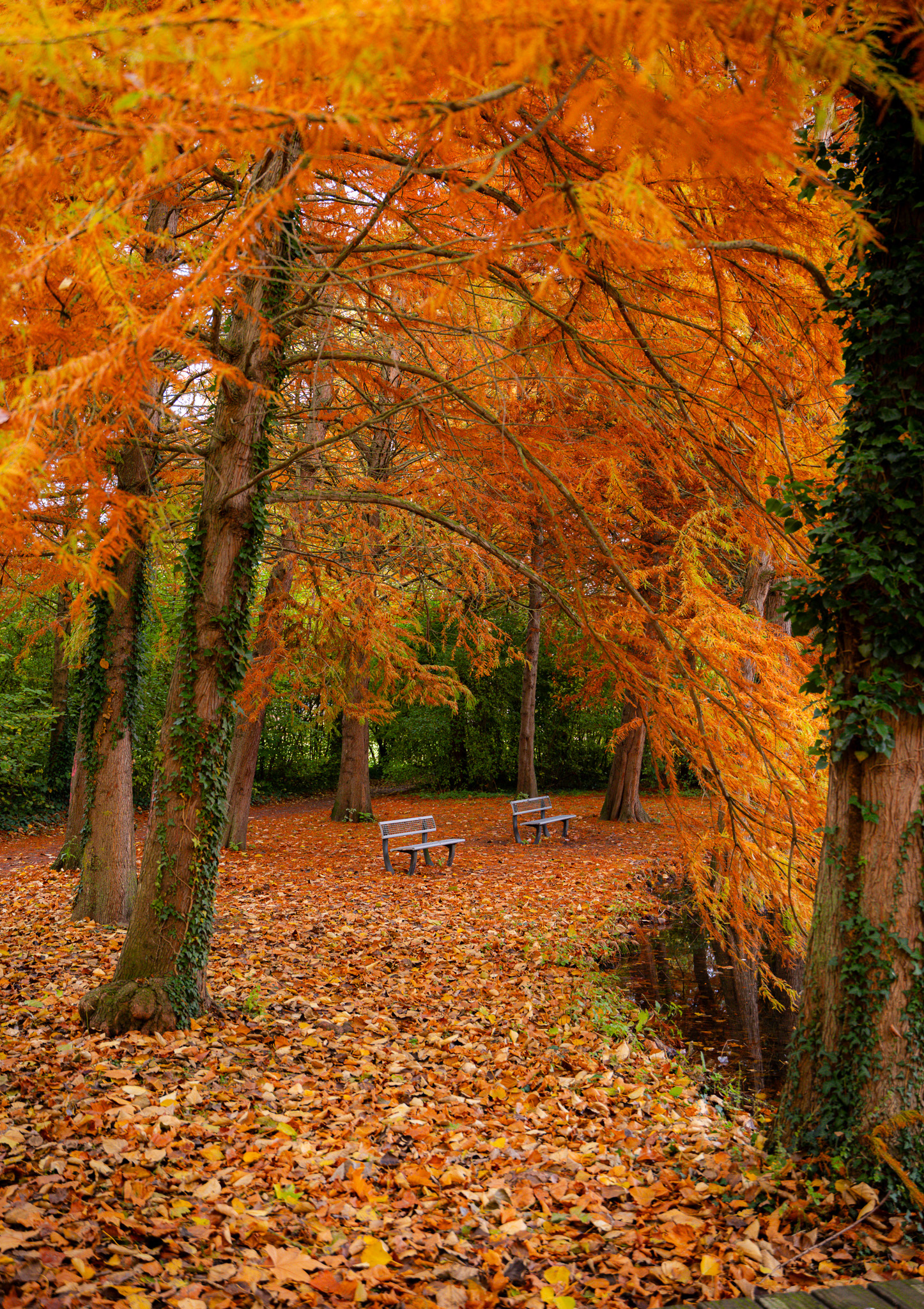 Amiens Parc St Pierre