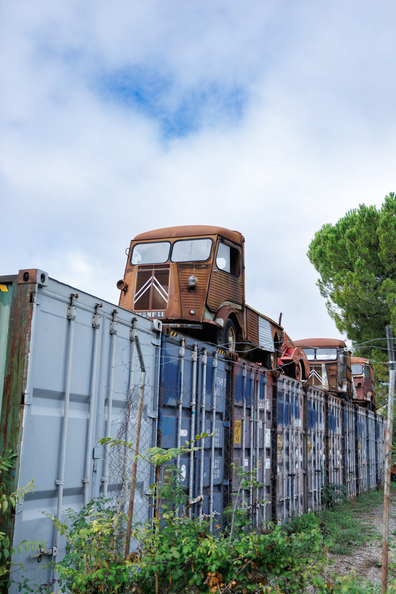 Au détour d'un chemin de Provence 