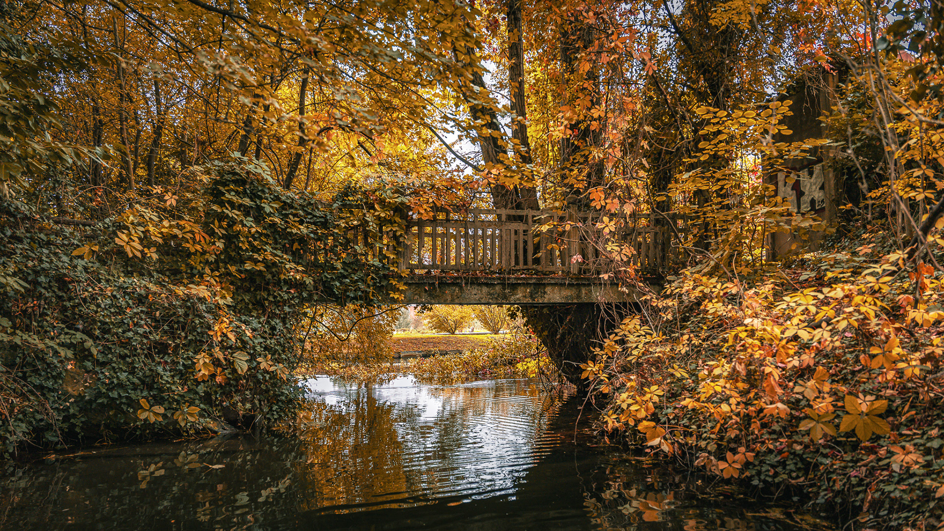 Balade dans les hortillonnage 