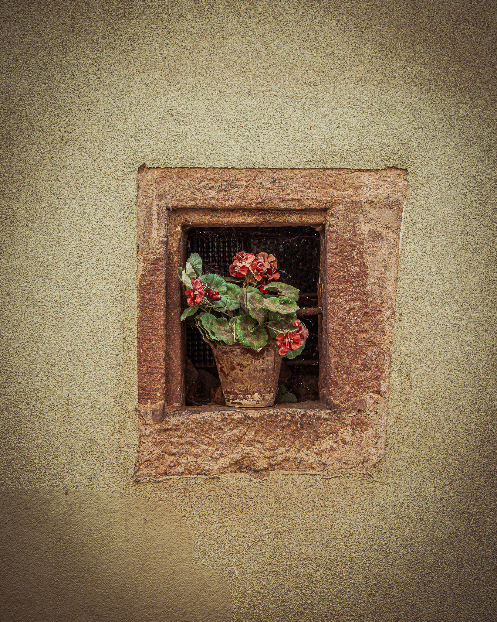 Le village de Riquewihr, en Alsace.