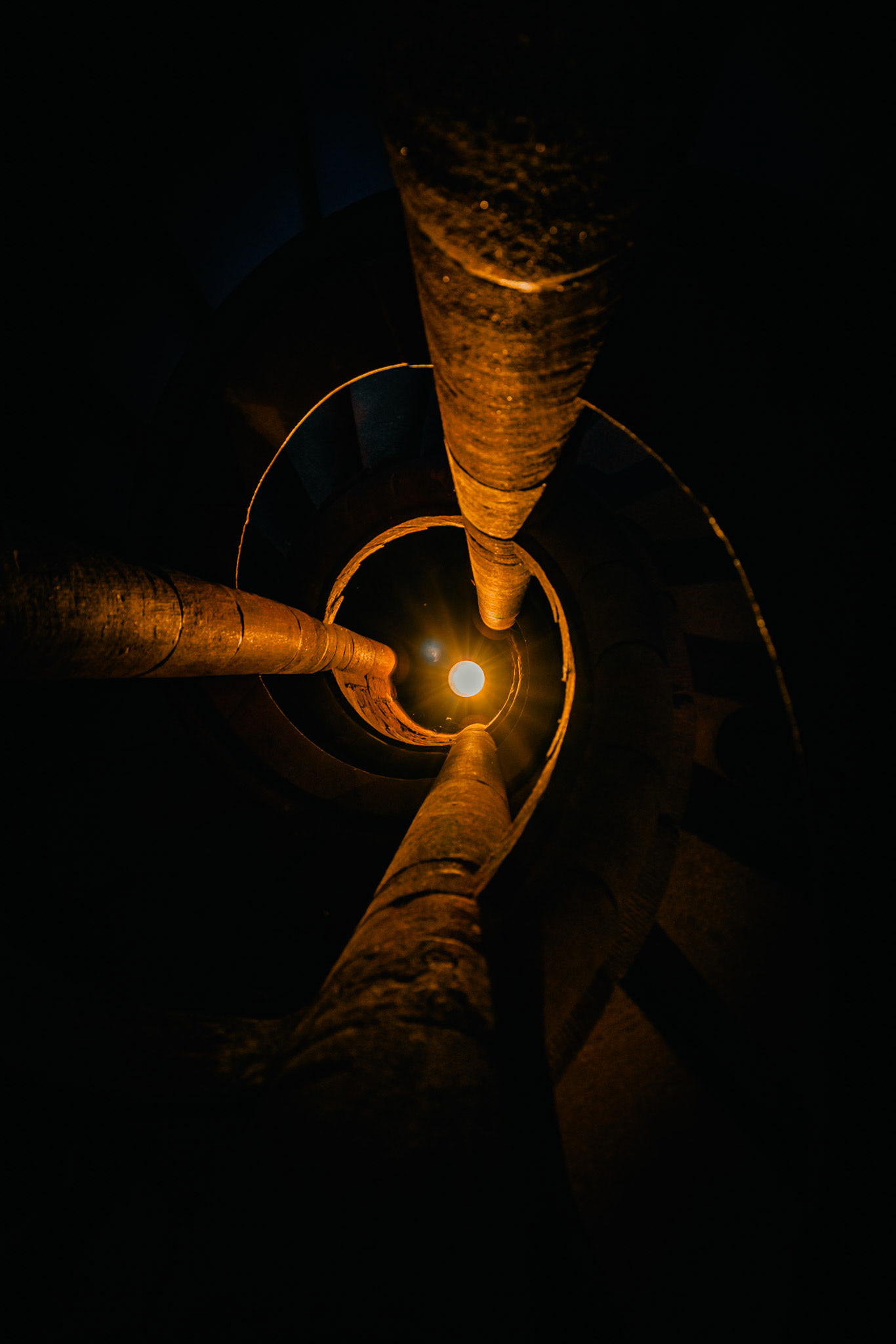 colimaçon et l’astre solaire