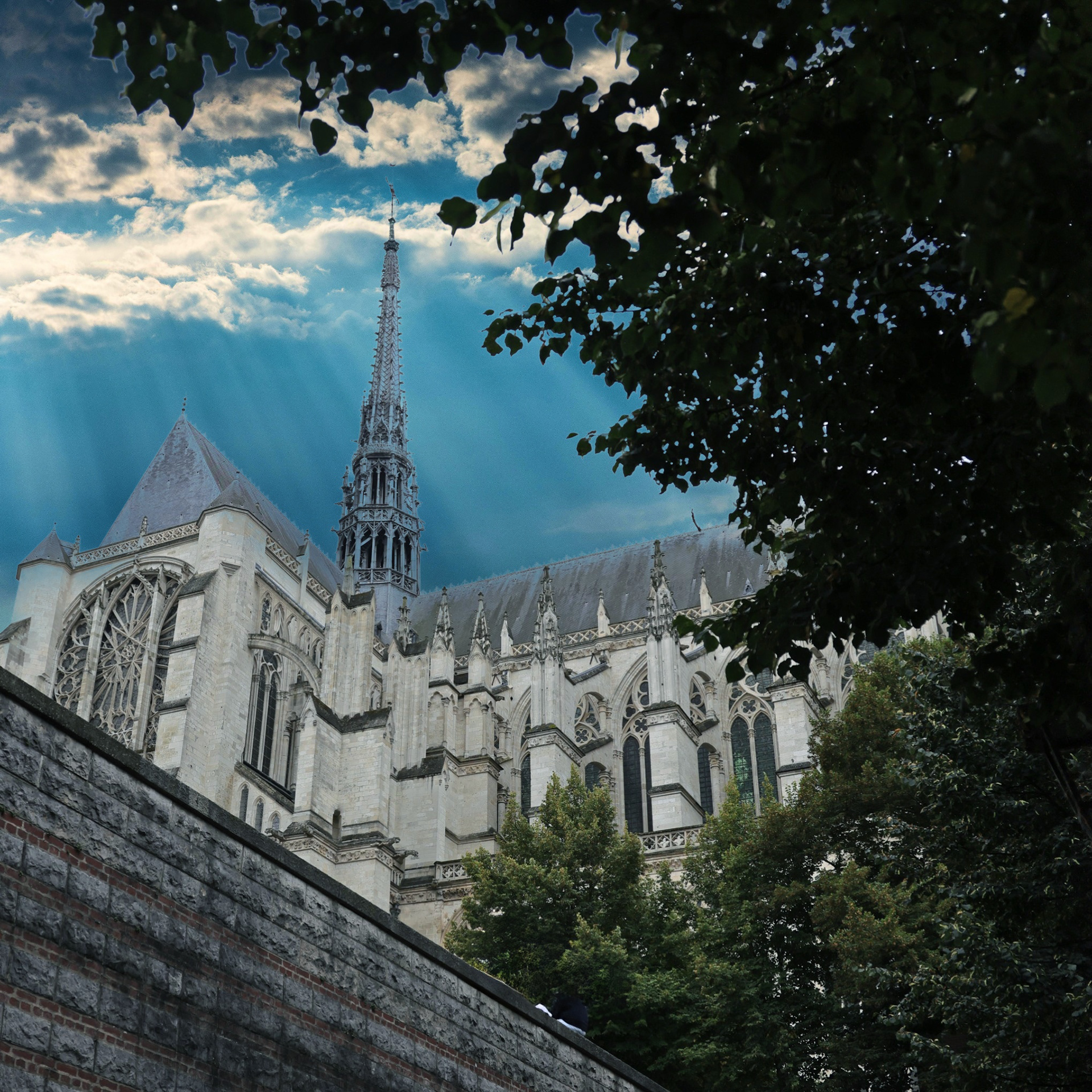 Cathédrale d'Amiens 
