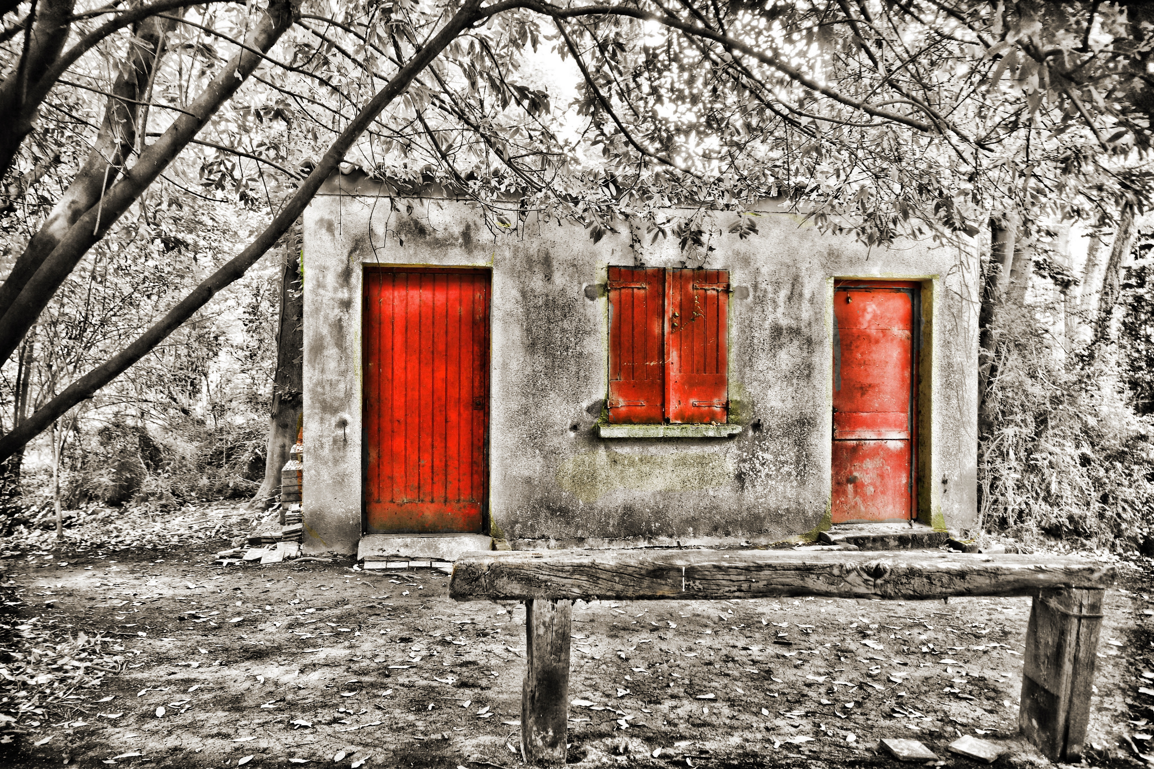 Dans les Hortillonnage - Amiens