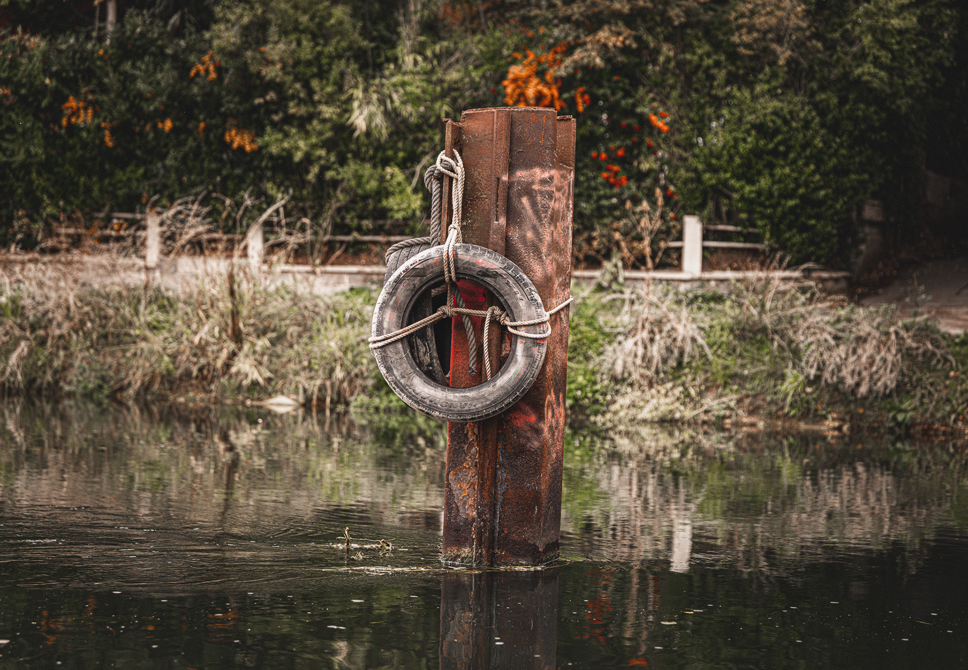 Envers et contre tous 