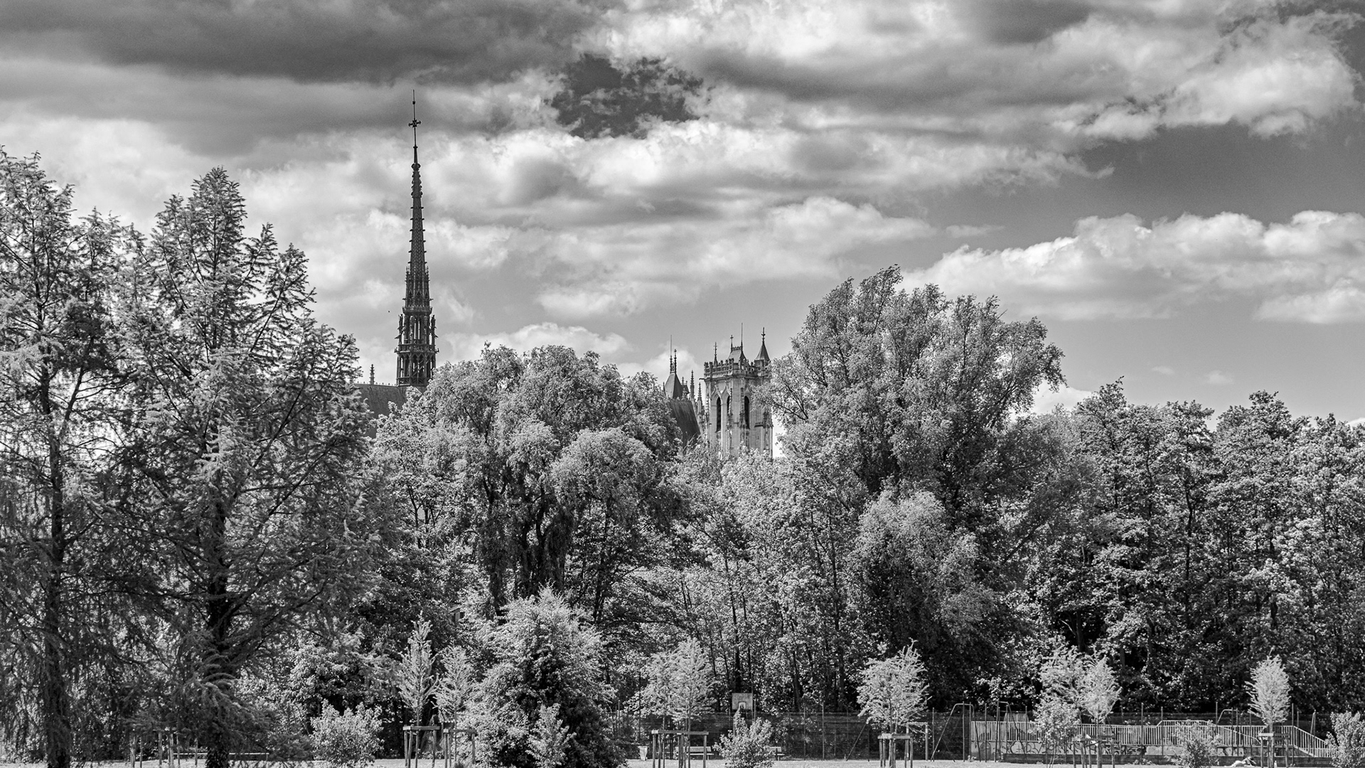 Cathédrale d'Amiens 