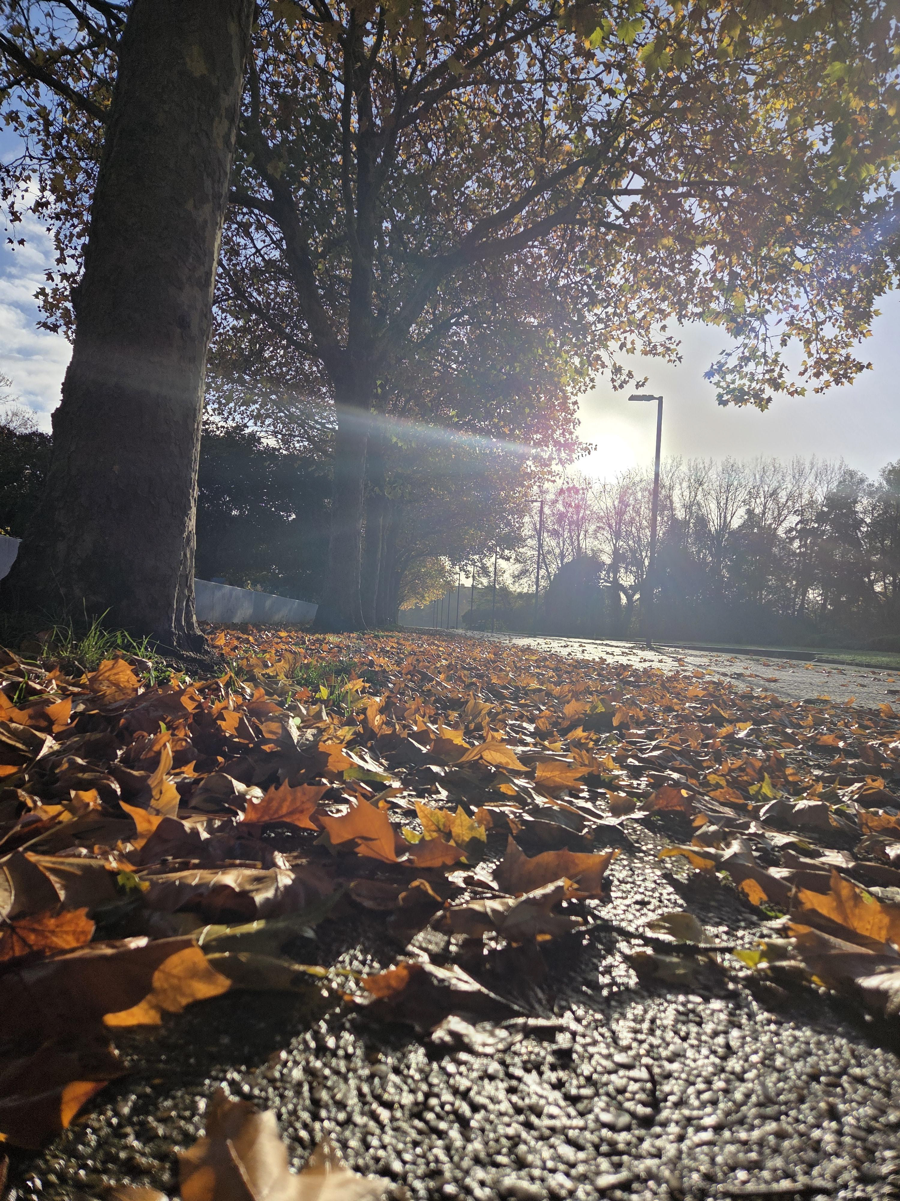 Amiens Parc St Pierre 