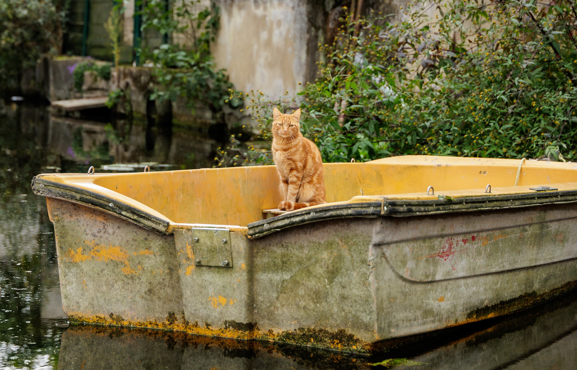 Balade dans les hortillonnage 