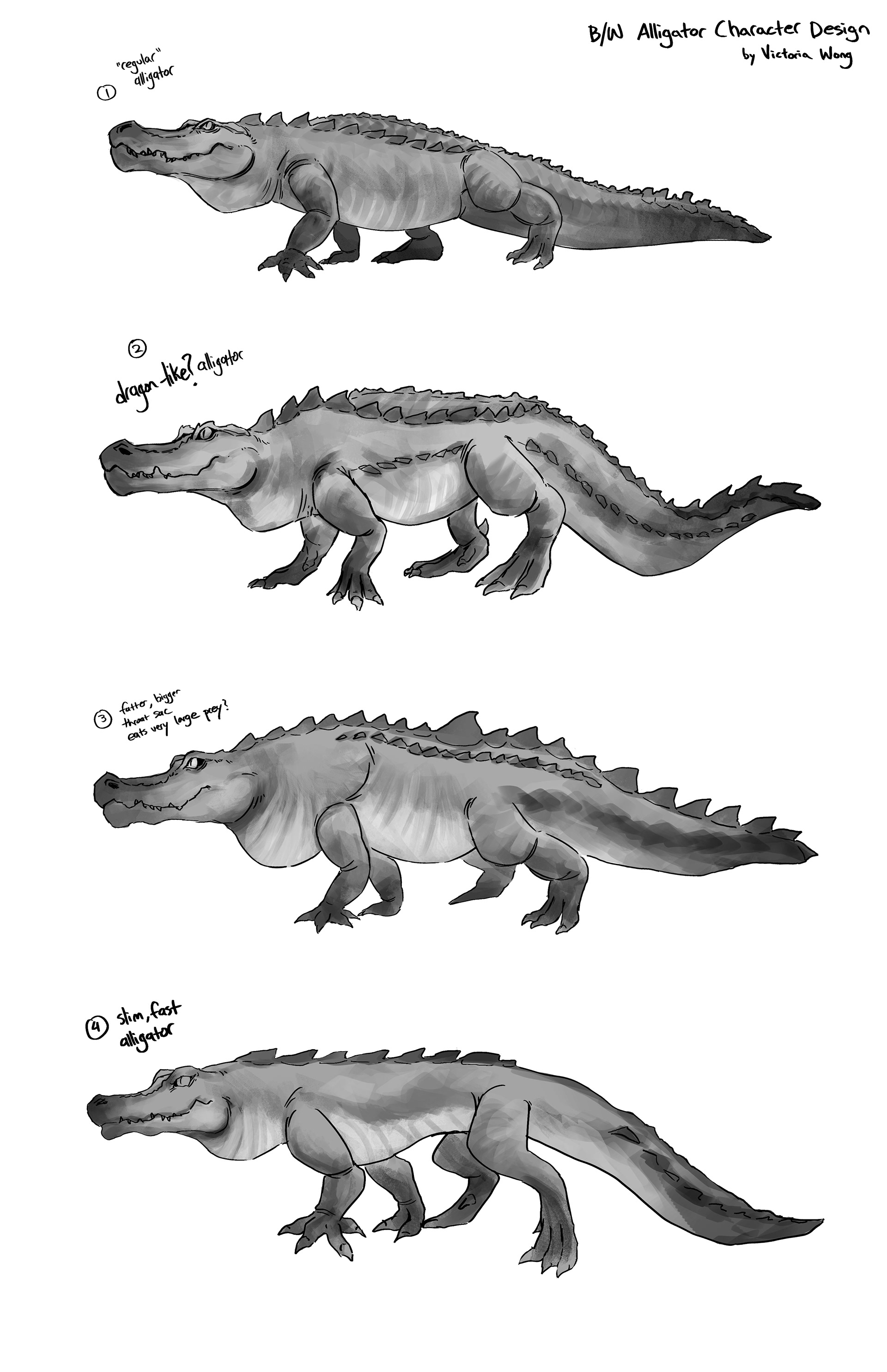 Alligator exploration