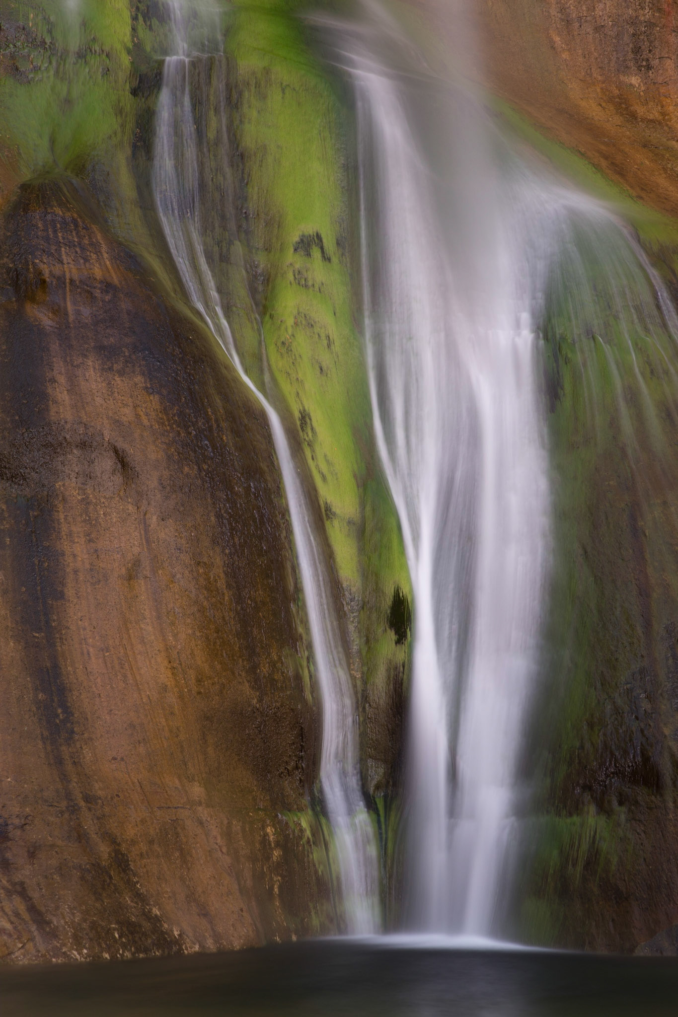 Hiked 10 miles to get to this beautiful waterfall in Arizona.  It stormed a bit on the way and people were getting worried about flash flooding and almost turned back. Glad we didnt