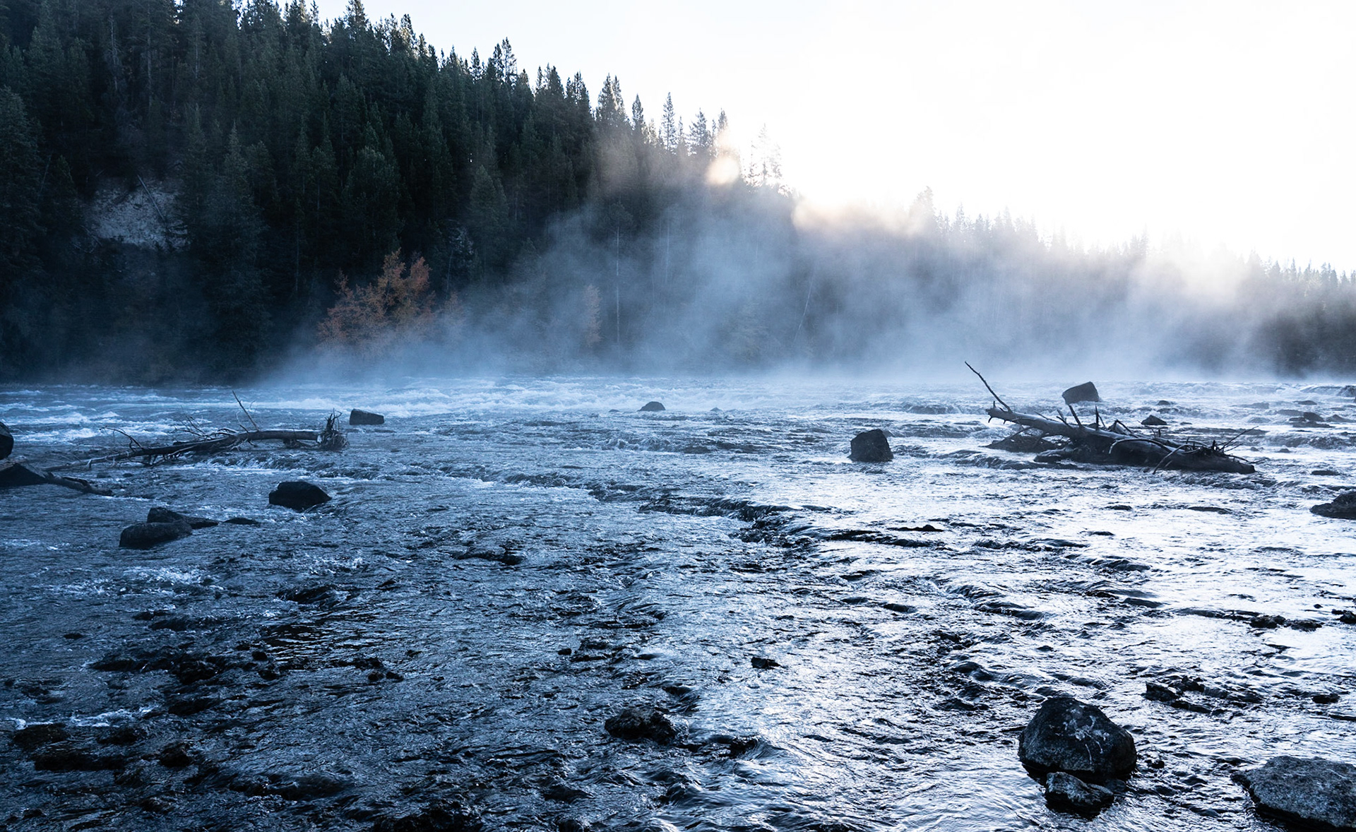 Early morning sunrise frost on the ground fog off the water in yellowstone