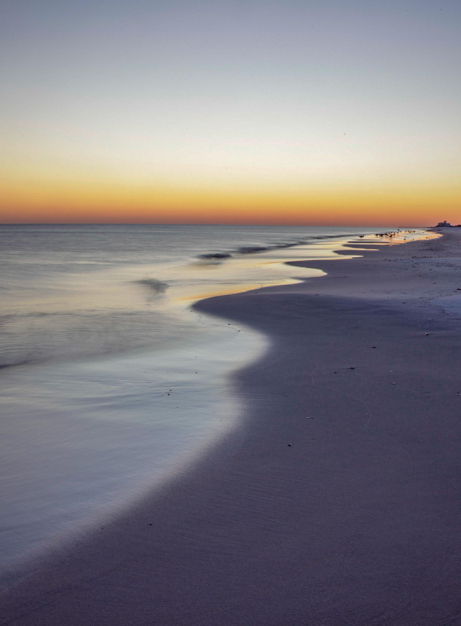"Birds on untainted sand next to soft  oceans current while the sky glows"