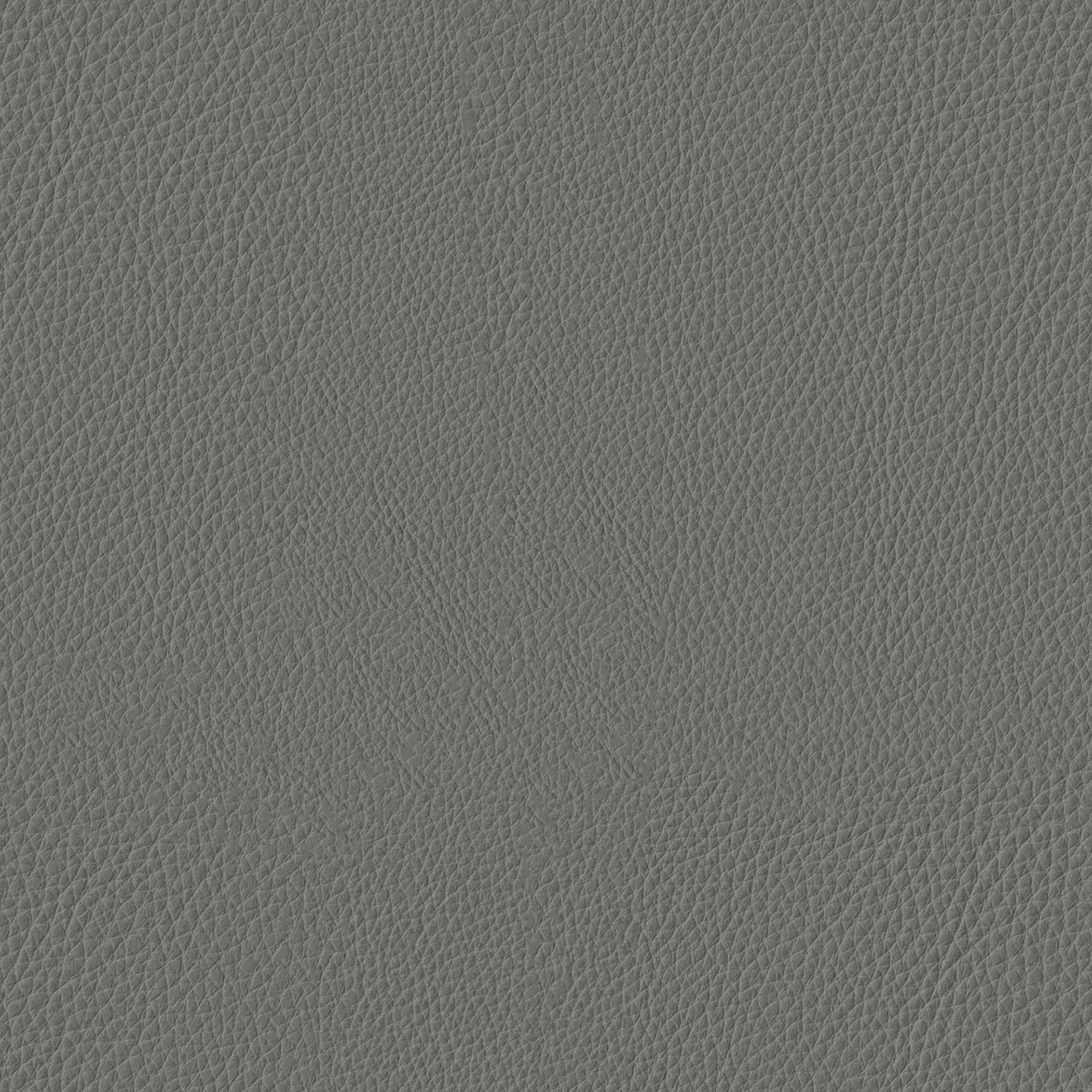 Leather Gray
