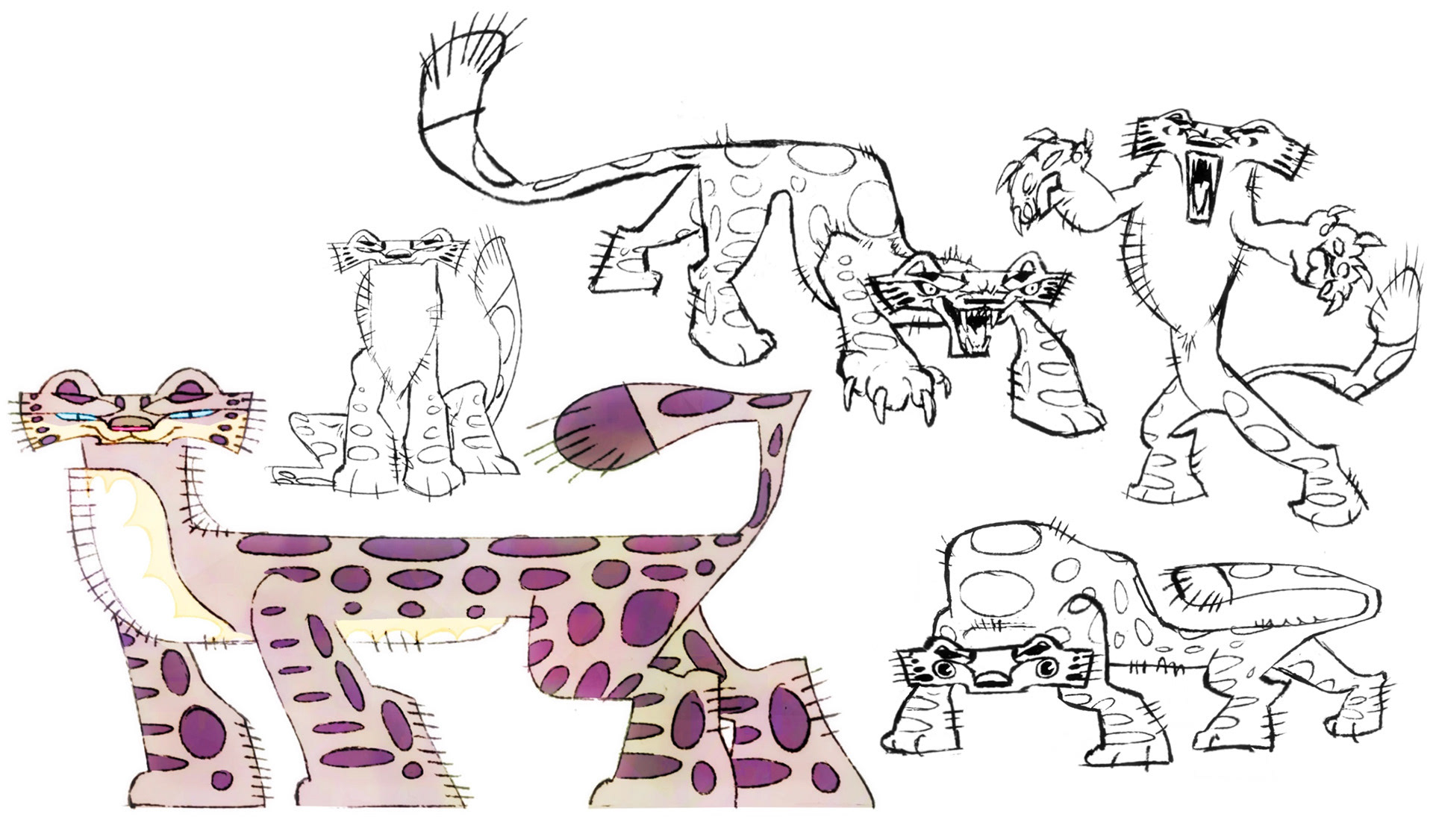 The "Wolf" (snow leopard)