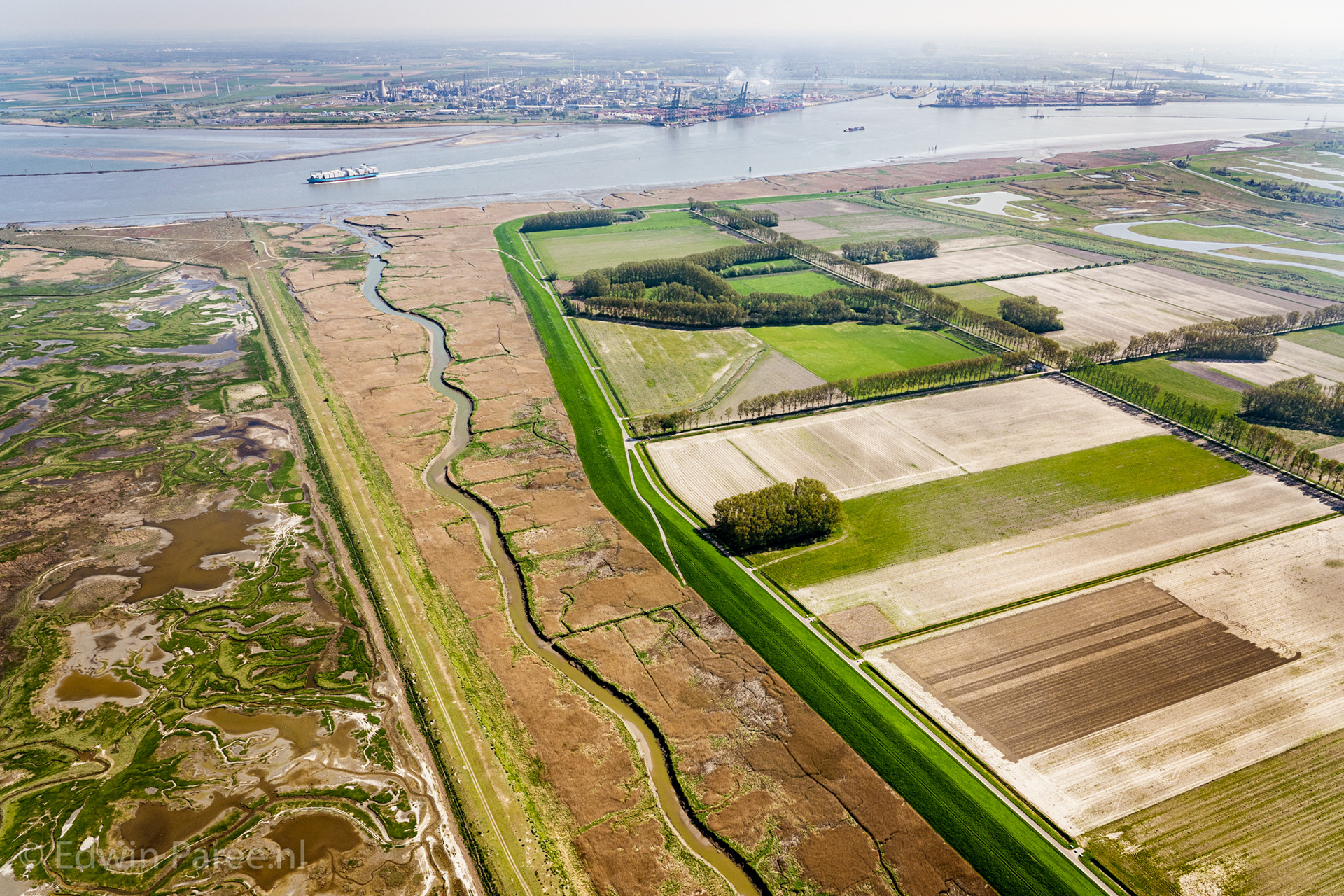 Saeftinge, Sieperdaschor, Hedwige en Prosperpolder