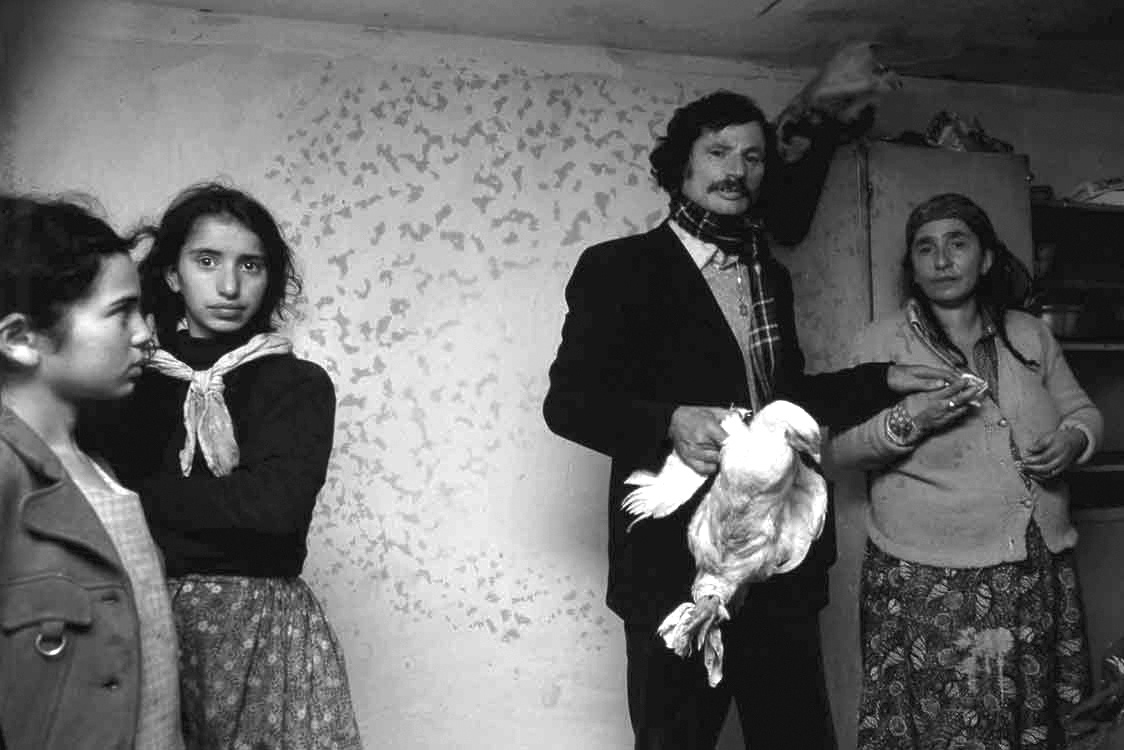 Barice - 1979