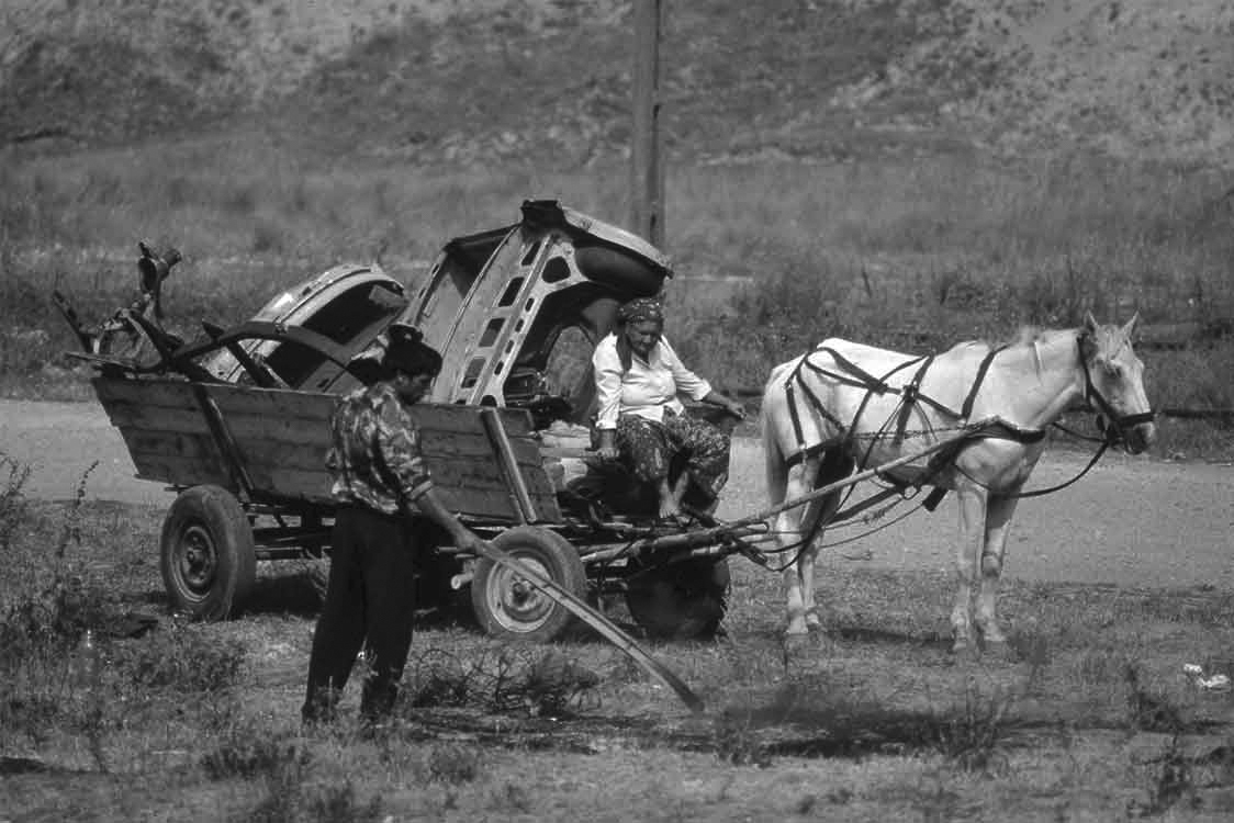 Njemanica - 1979