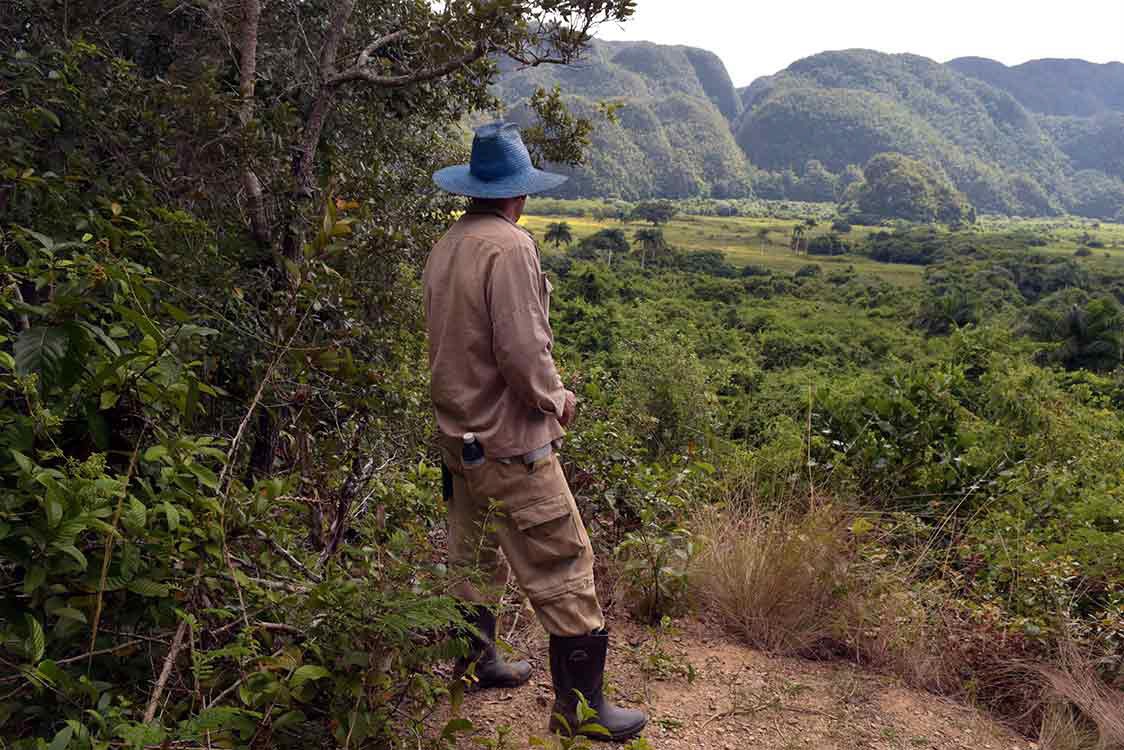 Parque Nacional de Vinales - 2016