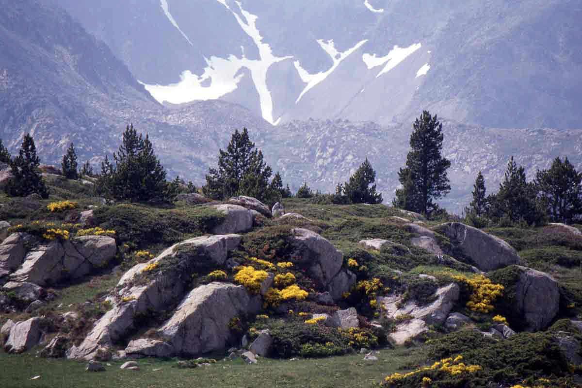 French Pyrenees - 1997