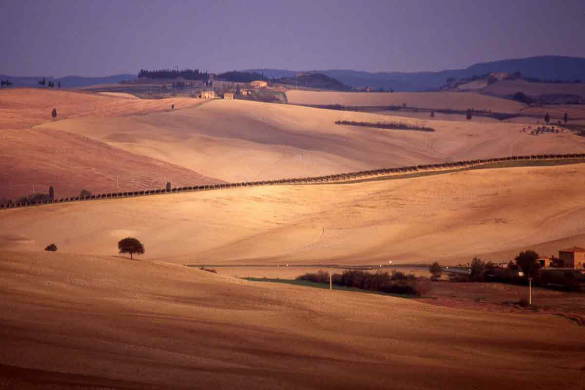Toscana - 1994