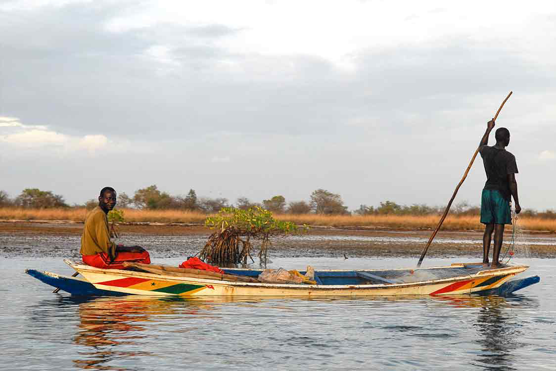 Sine-Saloum river - 2007