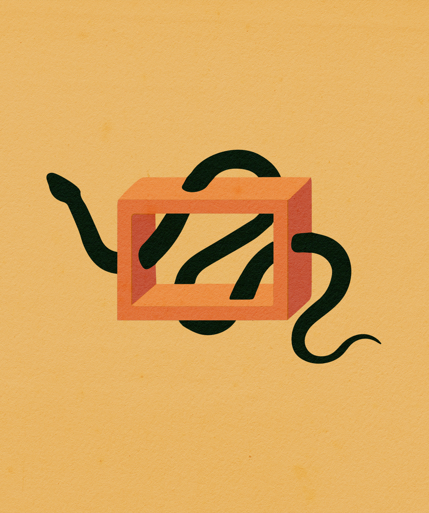 "snake in a box," digital