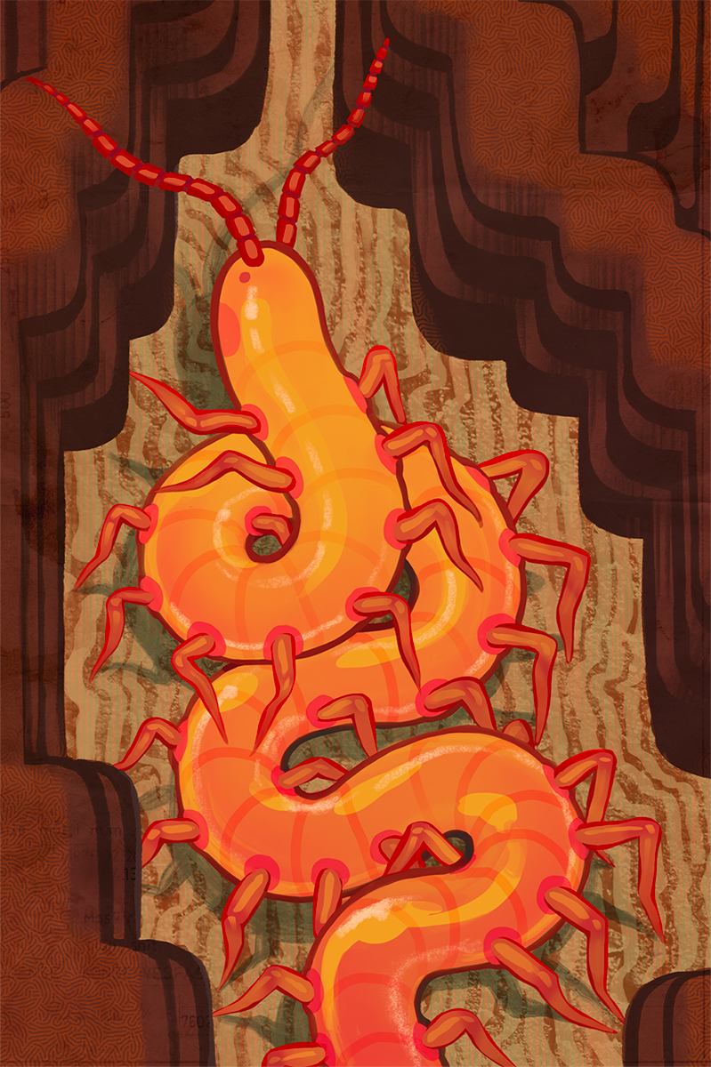 portrait of a centipede from memory, digital